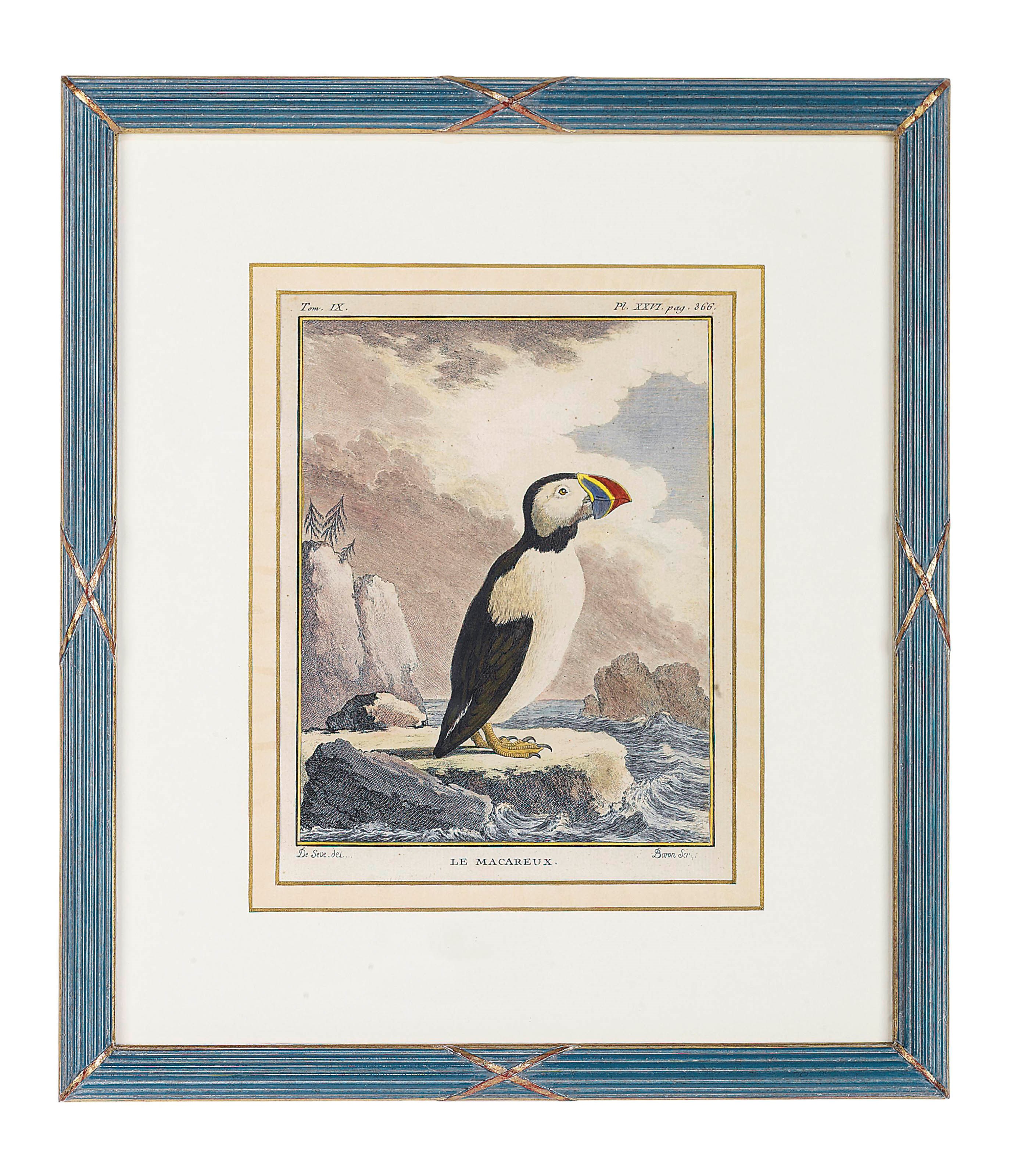 A SET OF TEN COLOURED ENGRAVINGS OF ANIMALS
