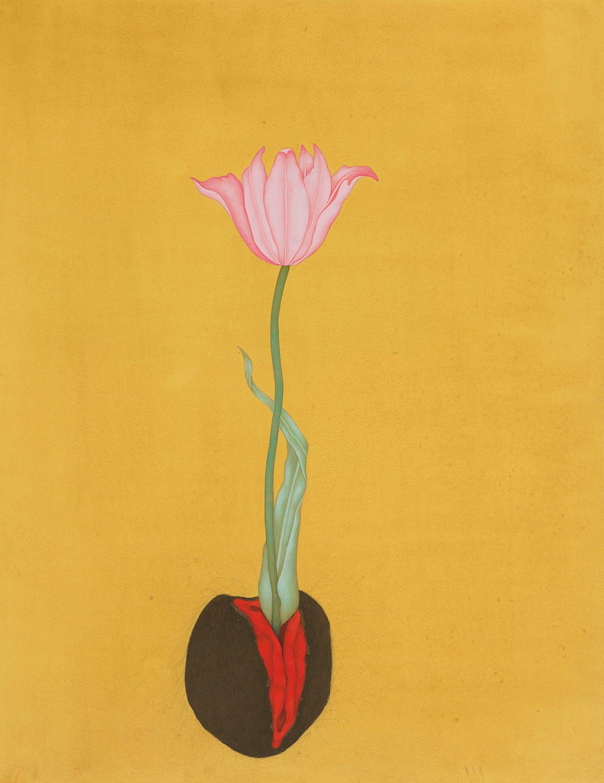 MUHAMMAD ZEESHAN (B. 1980)