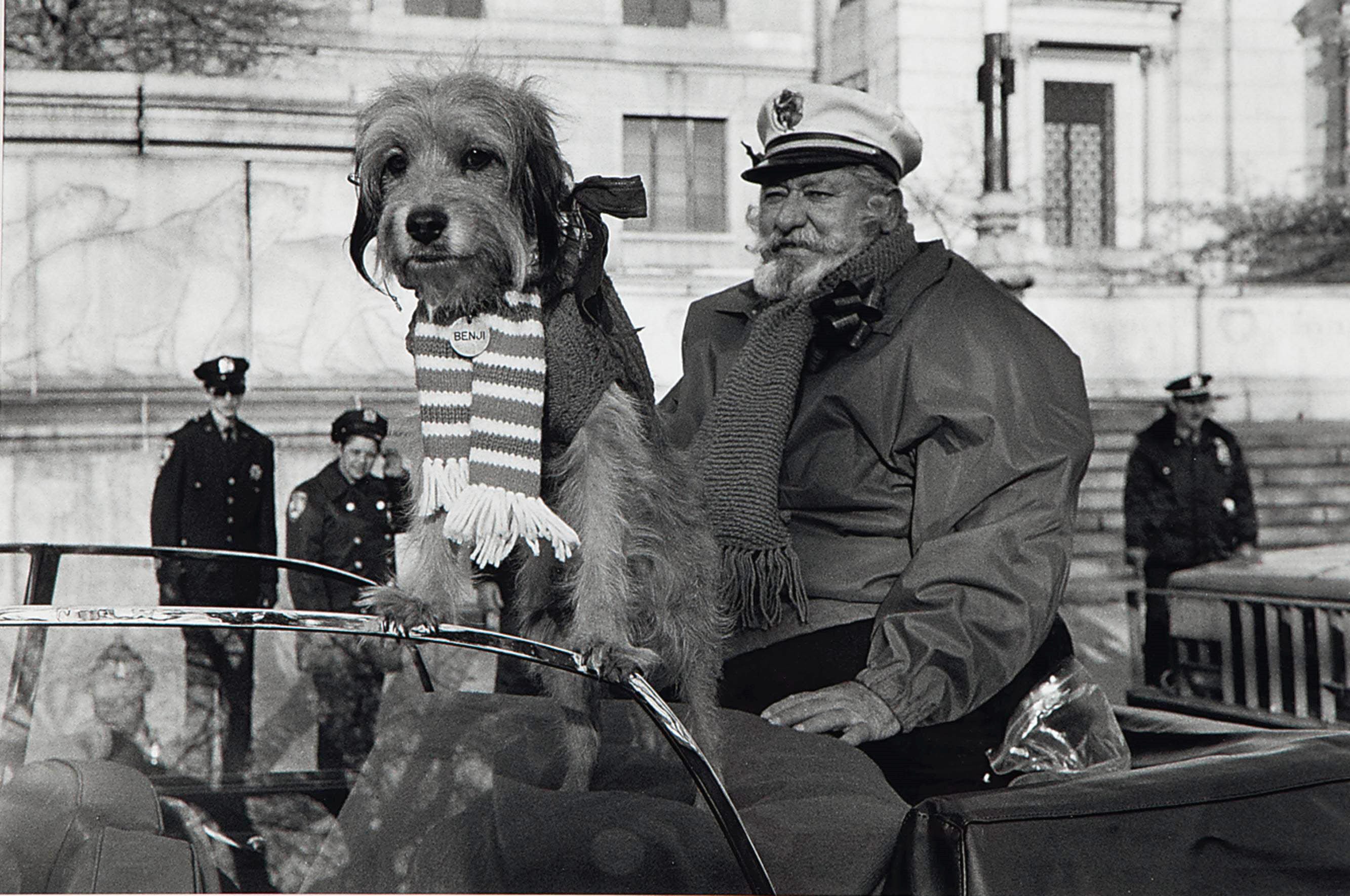 Harvey Stein (20th Century)