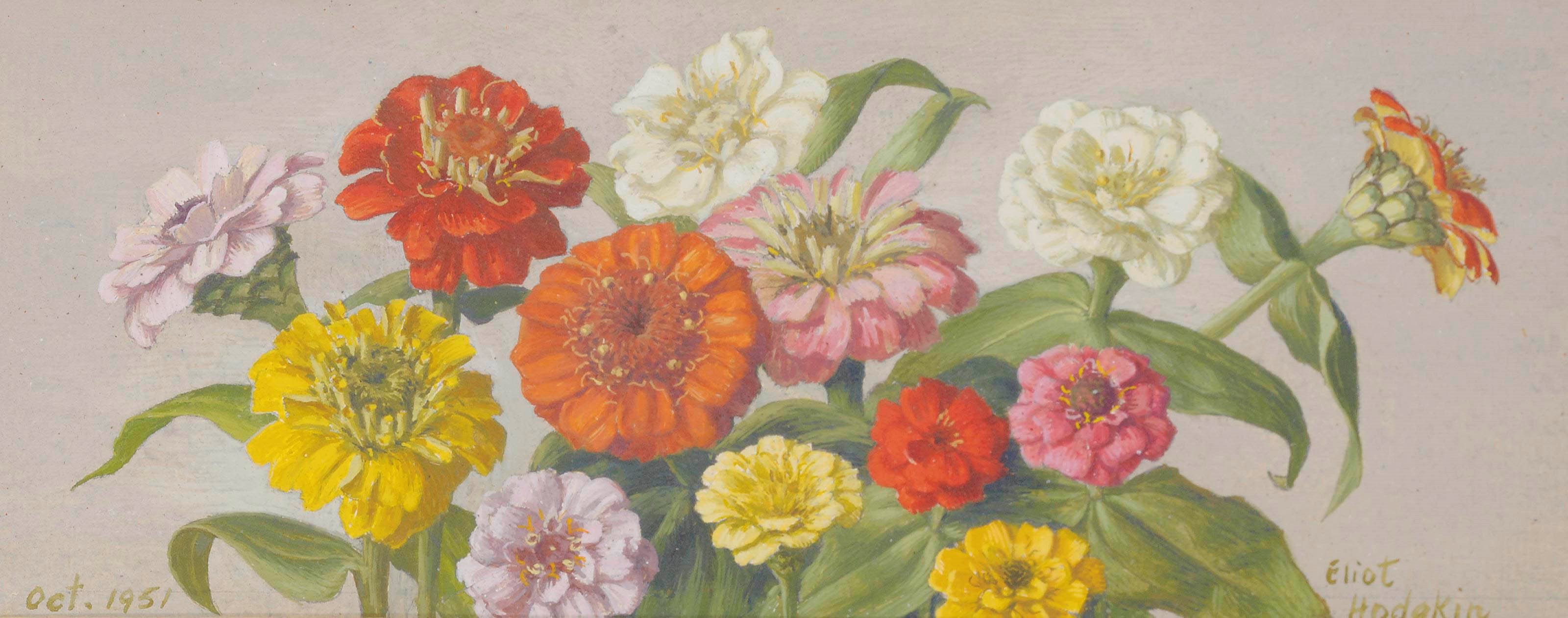 Eliot Hodgkin (1905-1987)