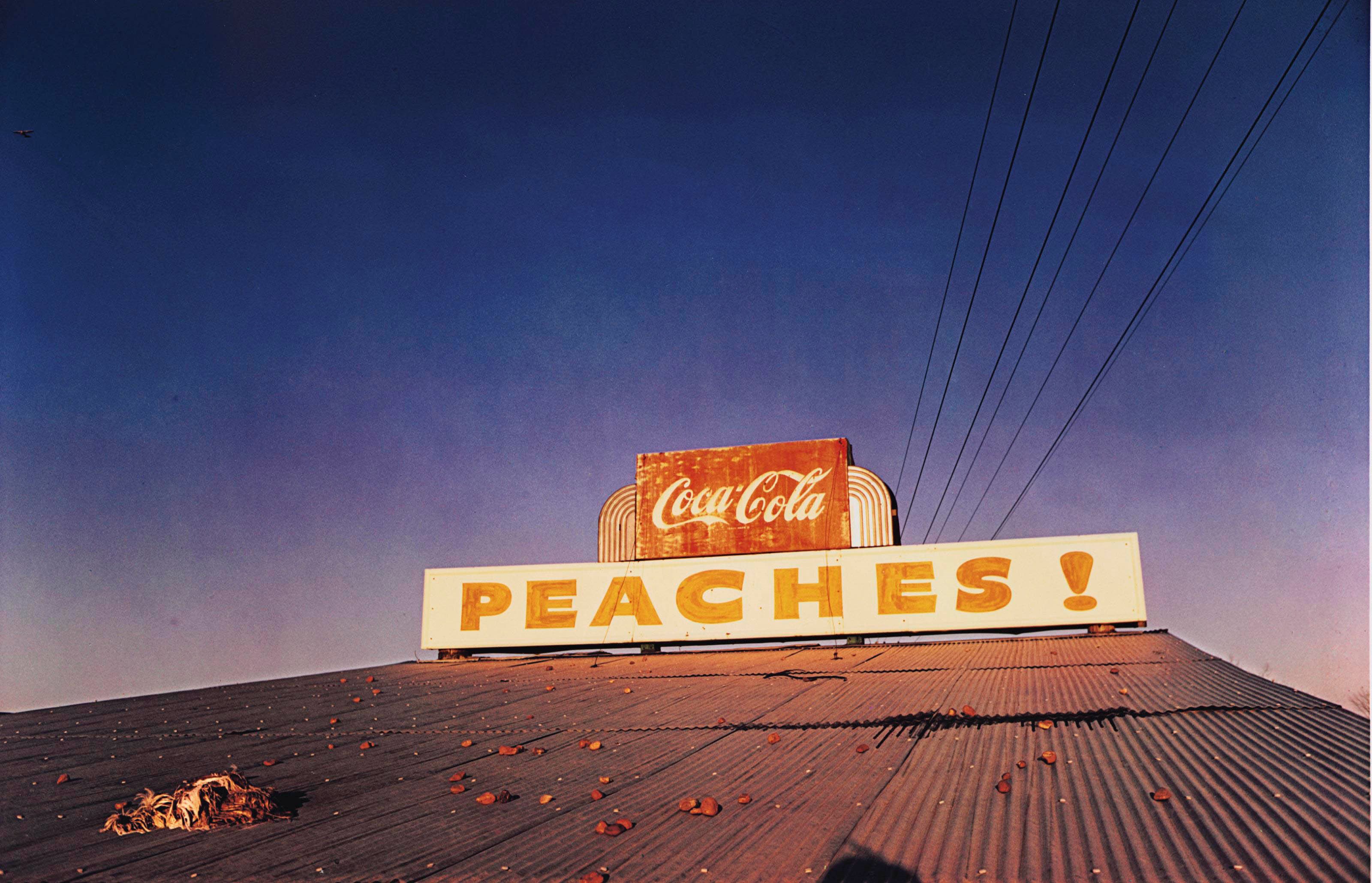 WILLIAM EGGLESTON (B. 1939)