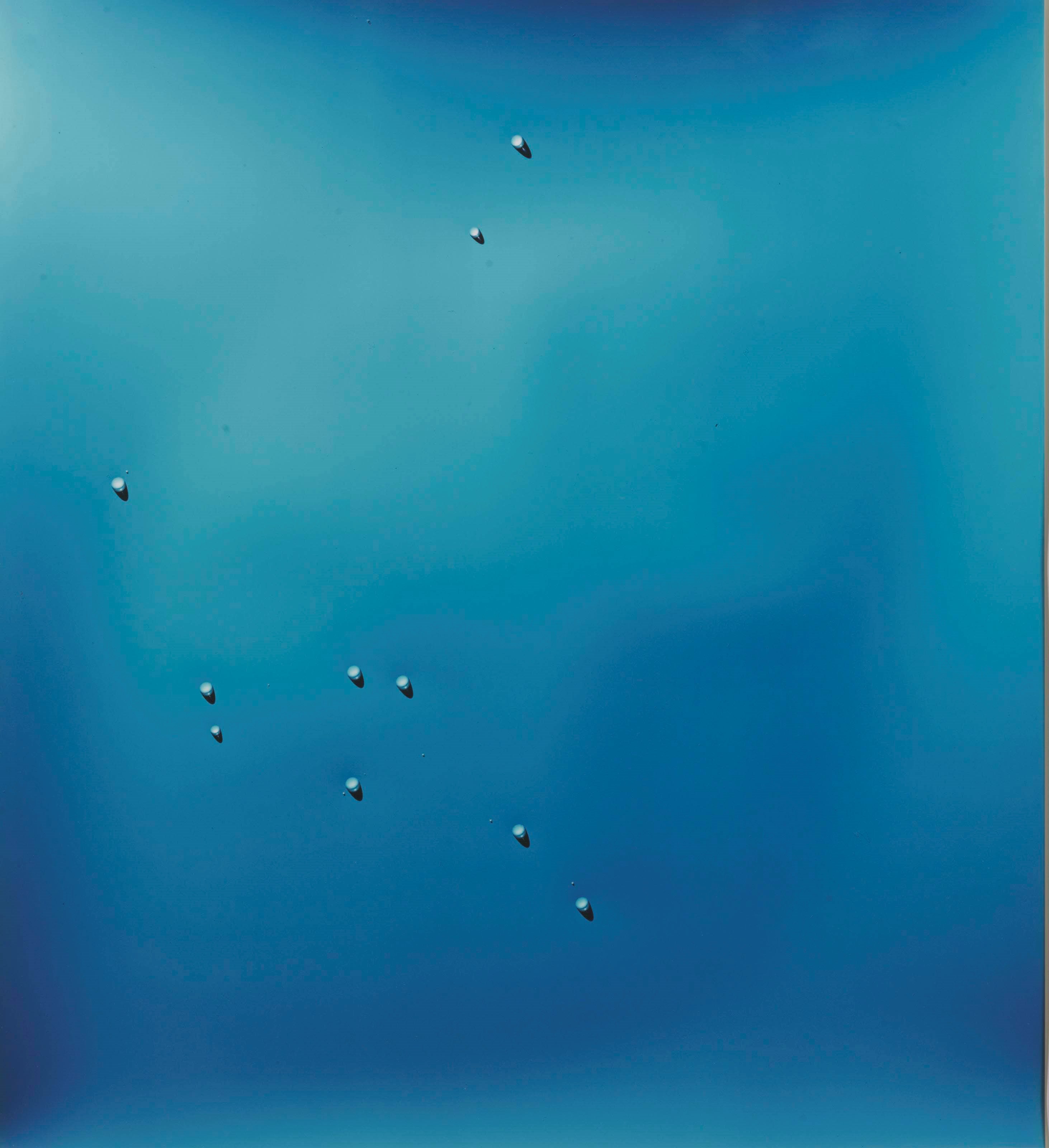 ADAM FUSS (B. 1961)