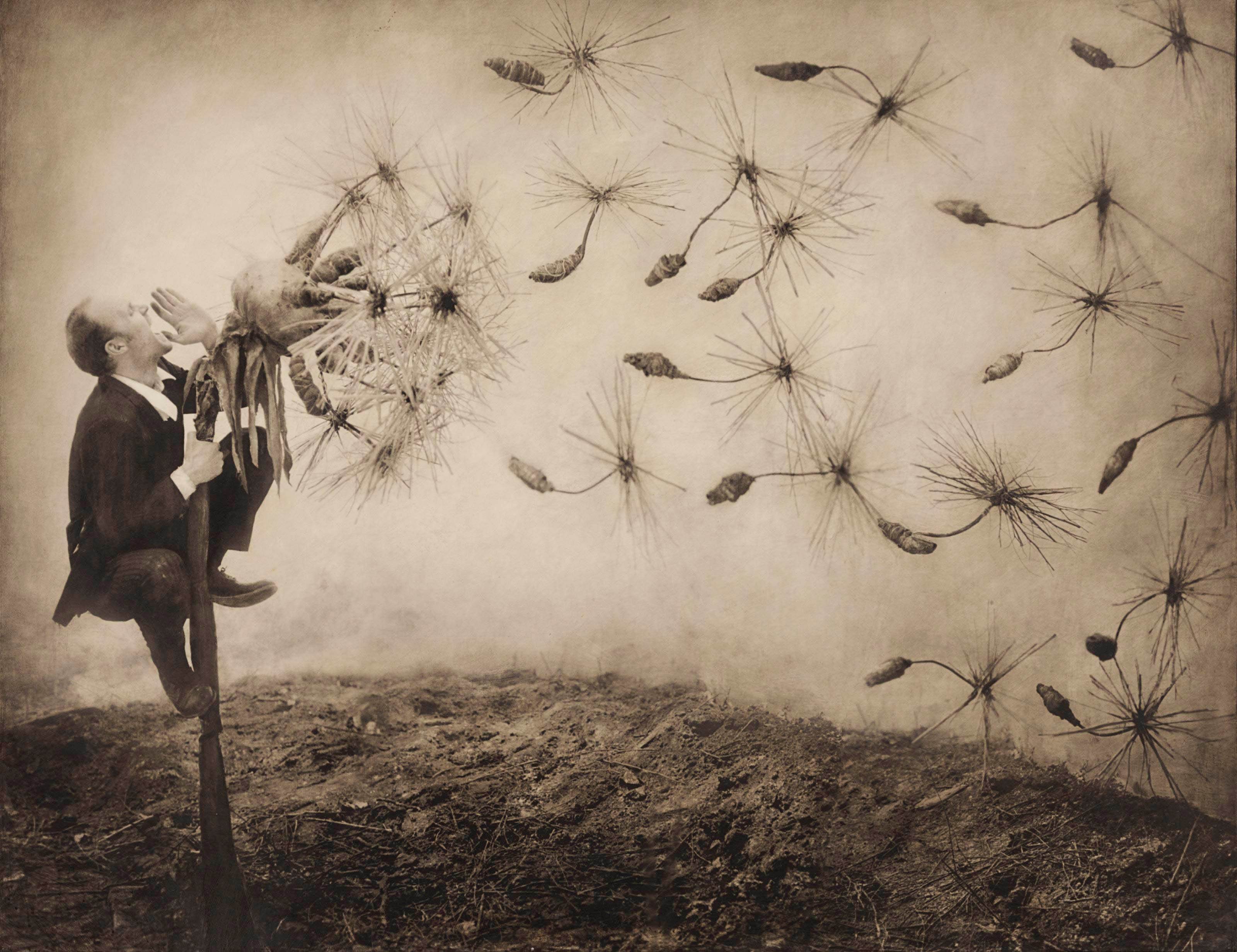 ROBERT PARKEHARRISON (B. 1968)
