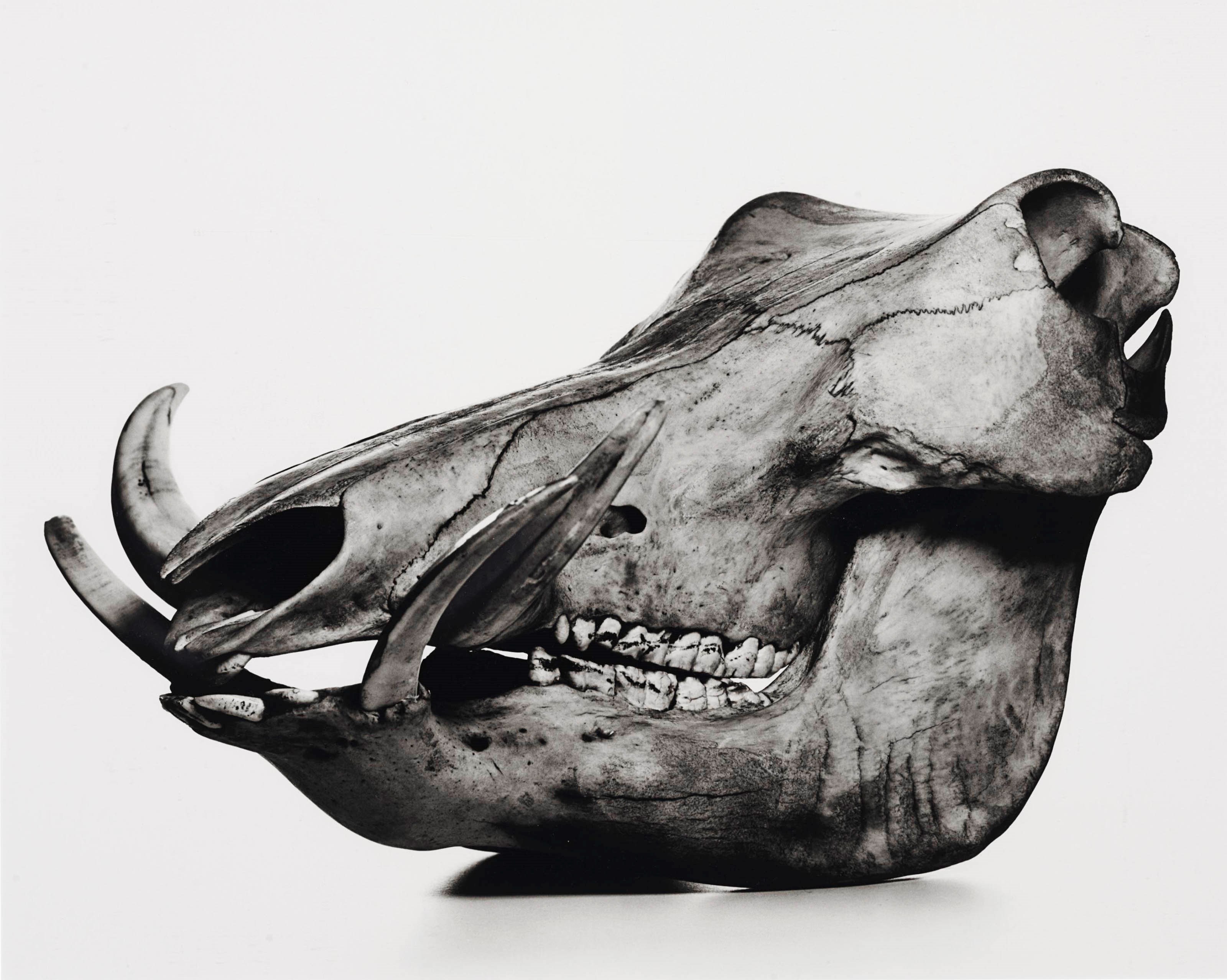 IRVING PENN (1917-2009)