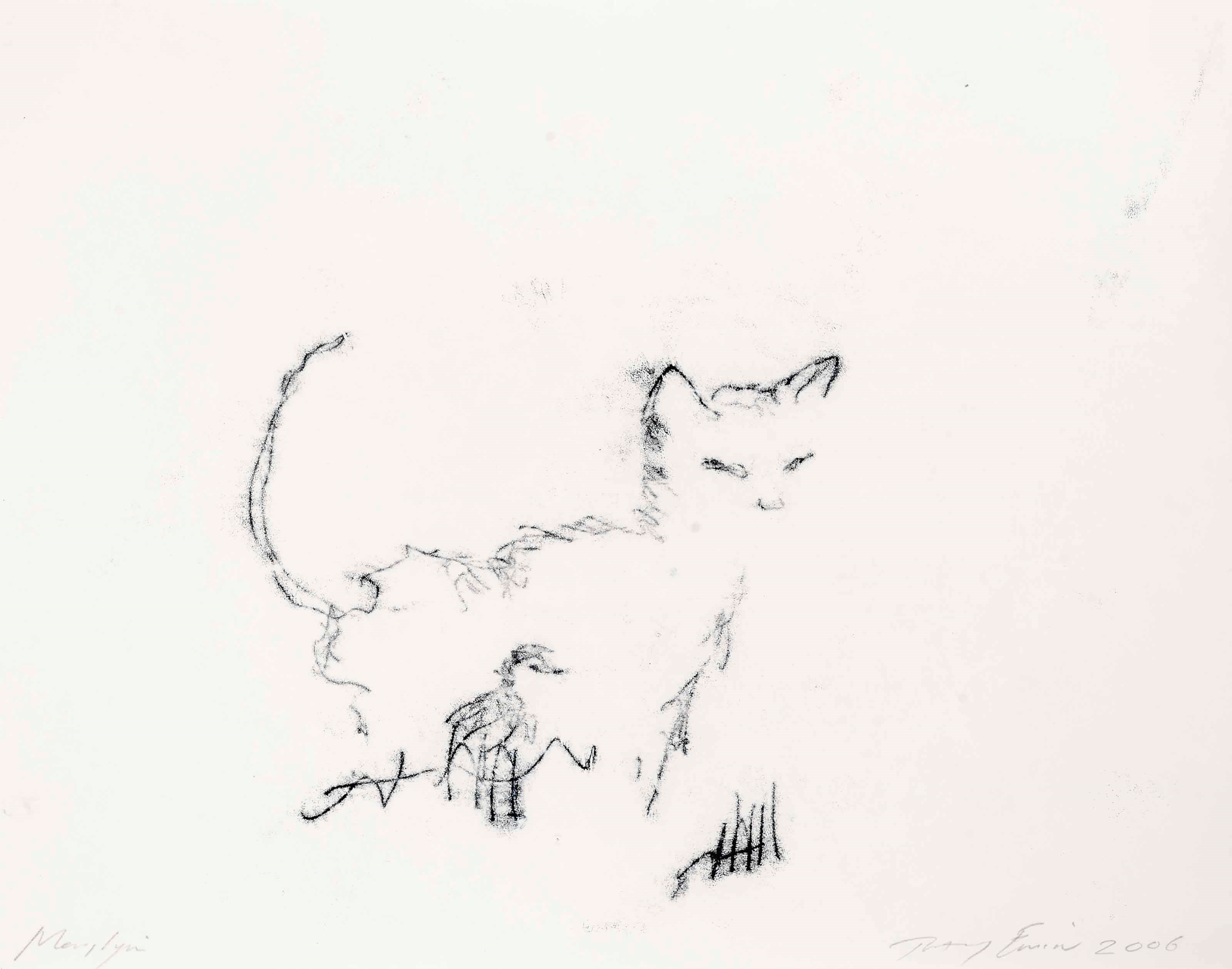 Tracey Emin (b. 1963)