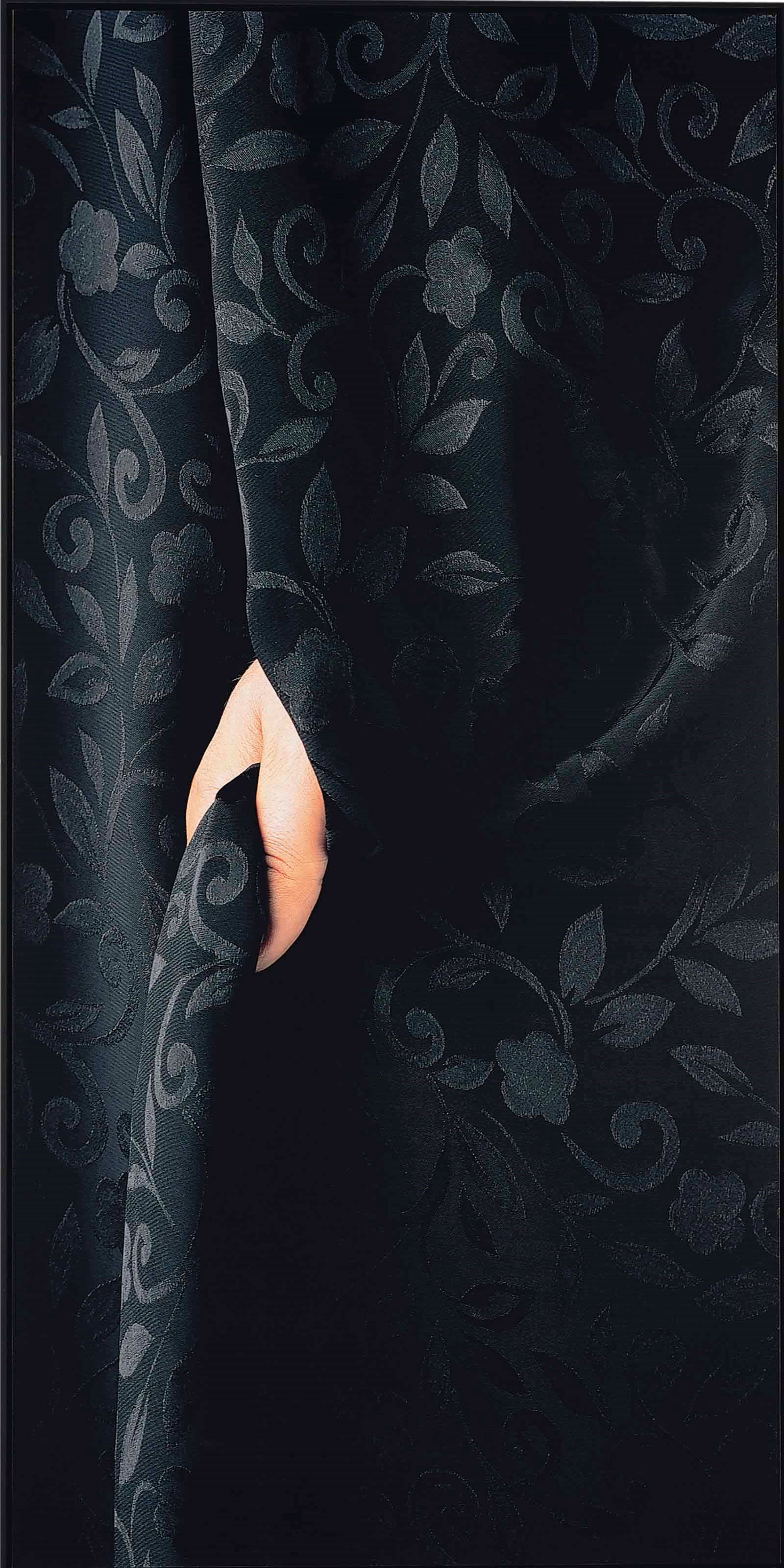 Parastou Forouhar (Iranian, b. 1962)