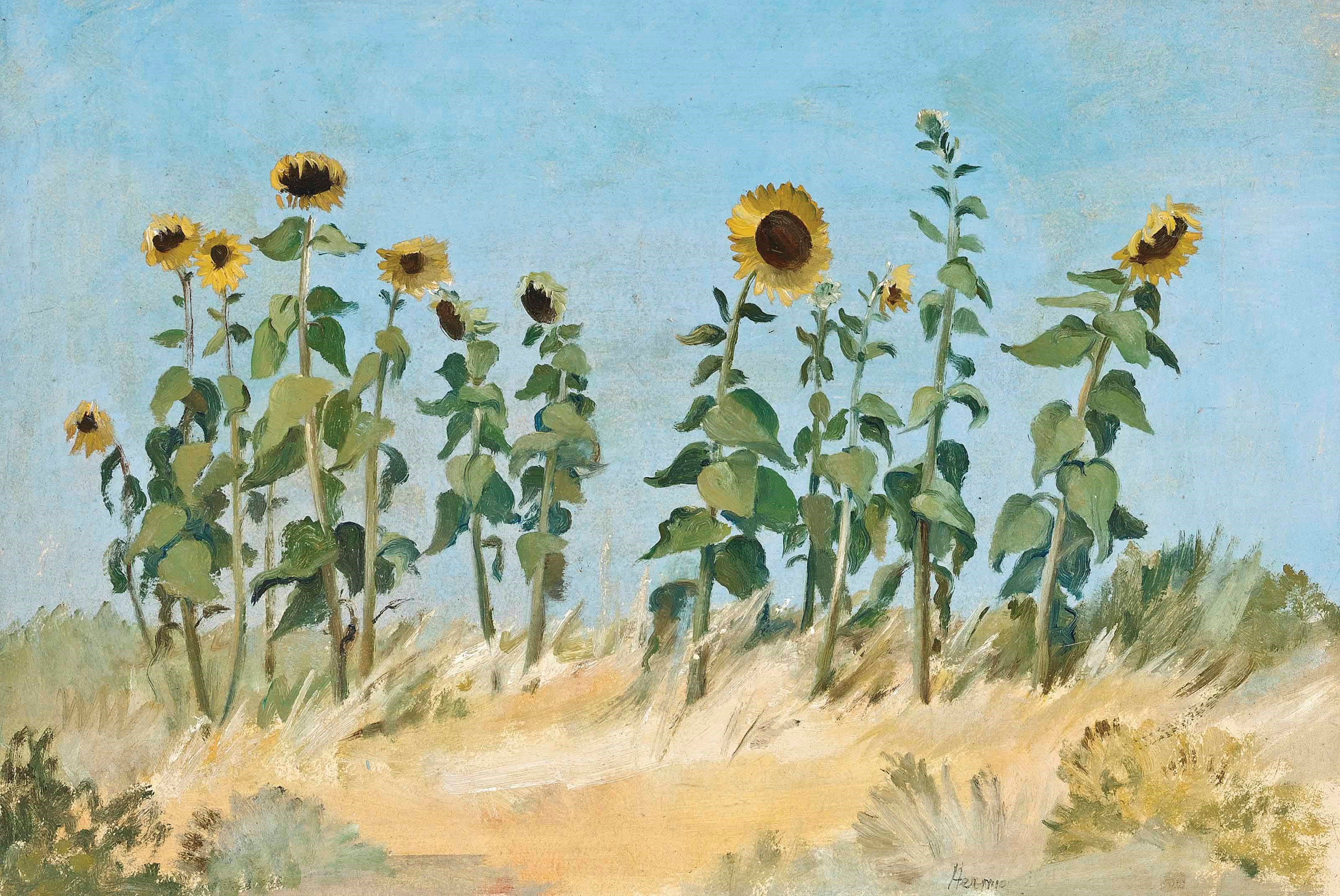 Hermione Hammond (1910-2005)