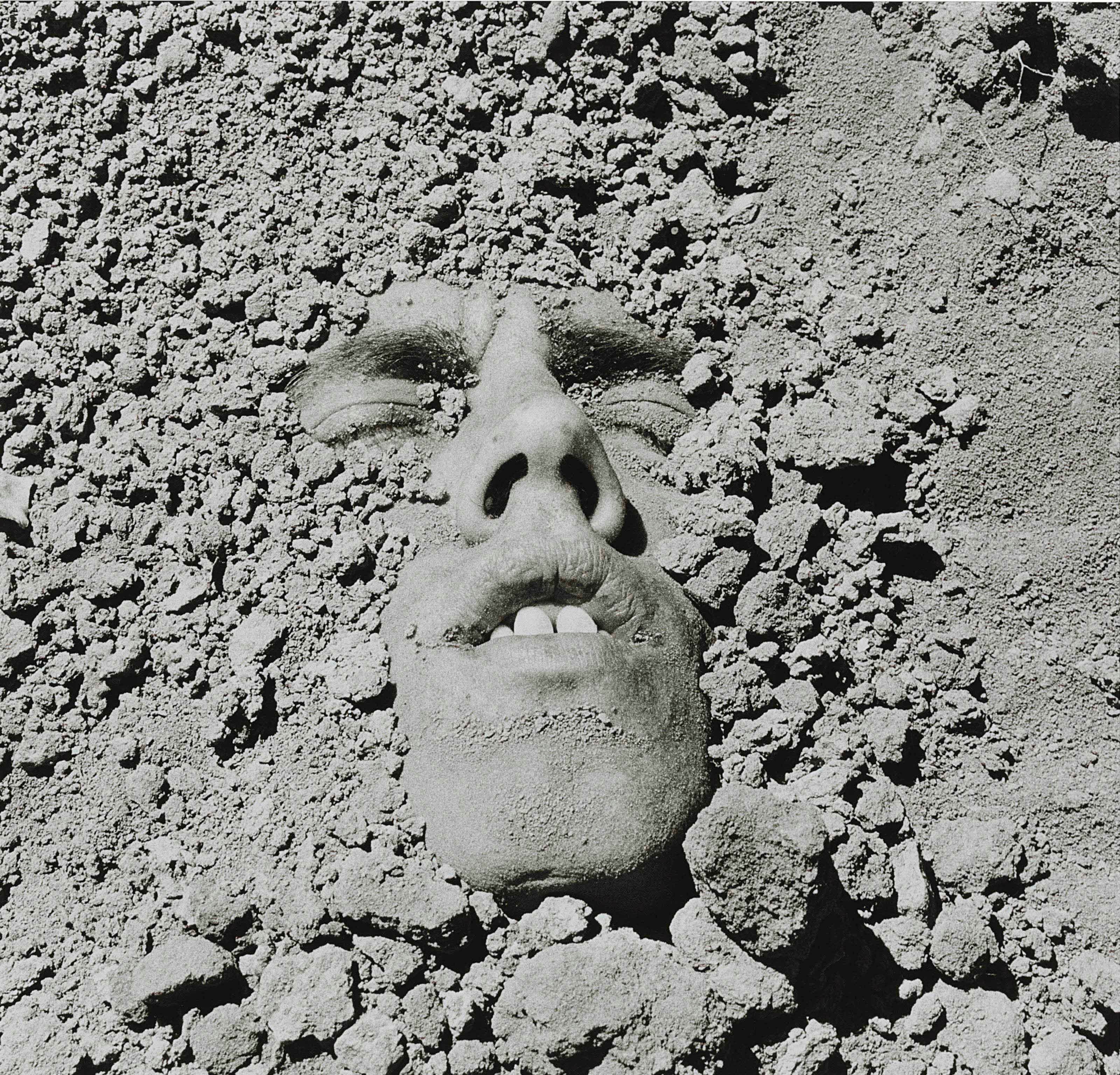 DAVID WOJNAROWICZ (1954-1992)