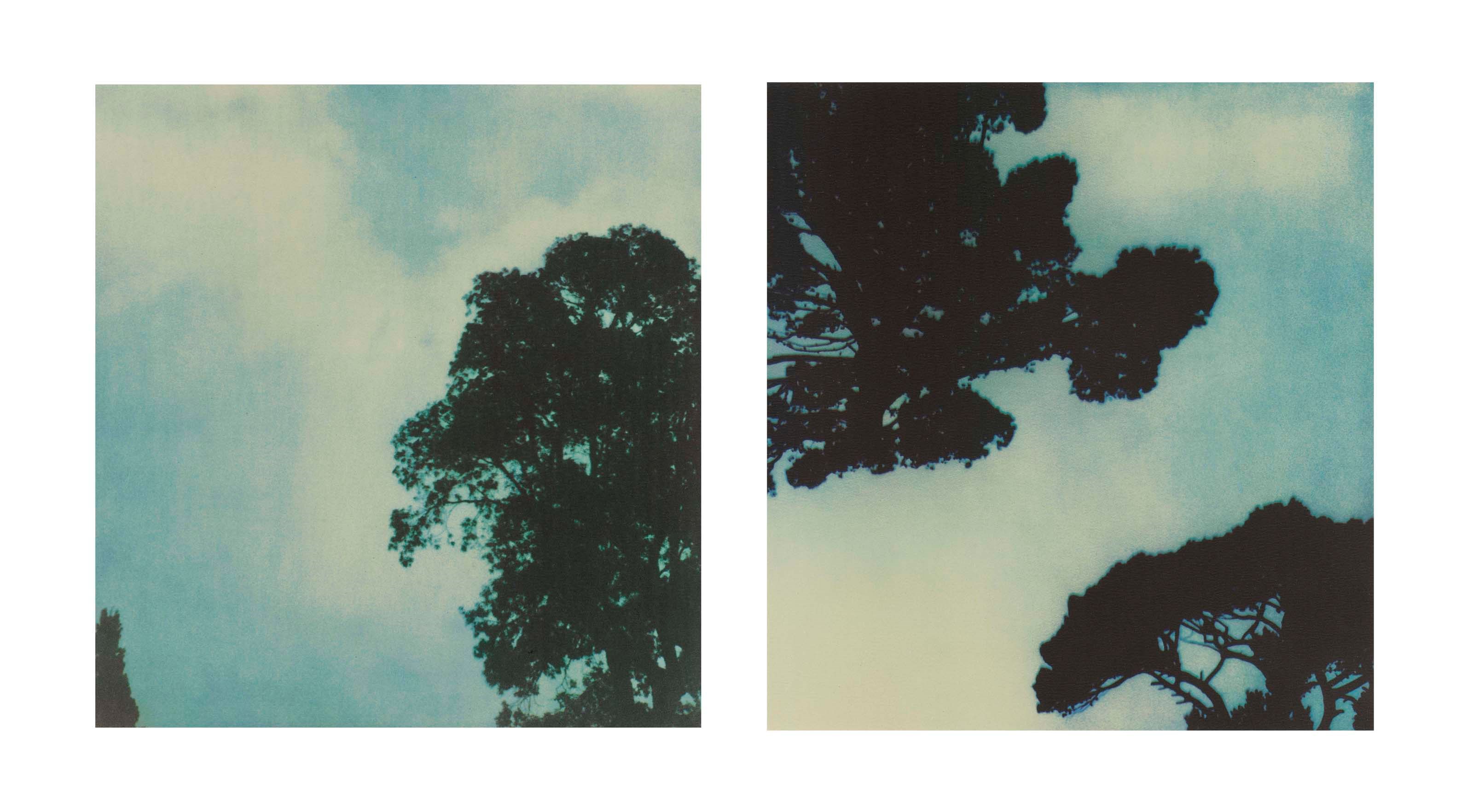 CY TWOMBLY (1928-2011)