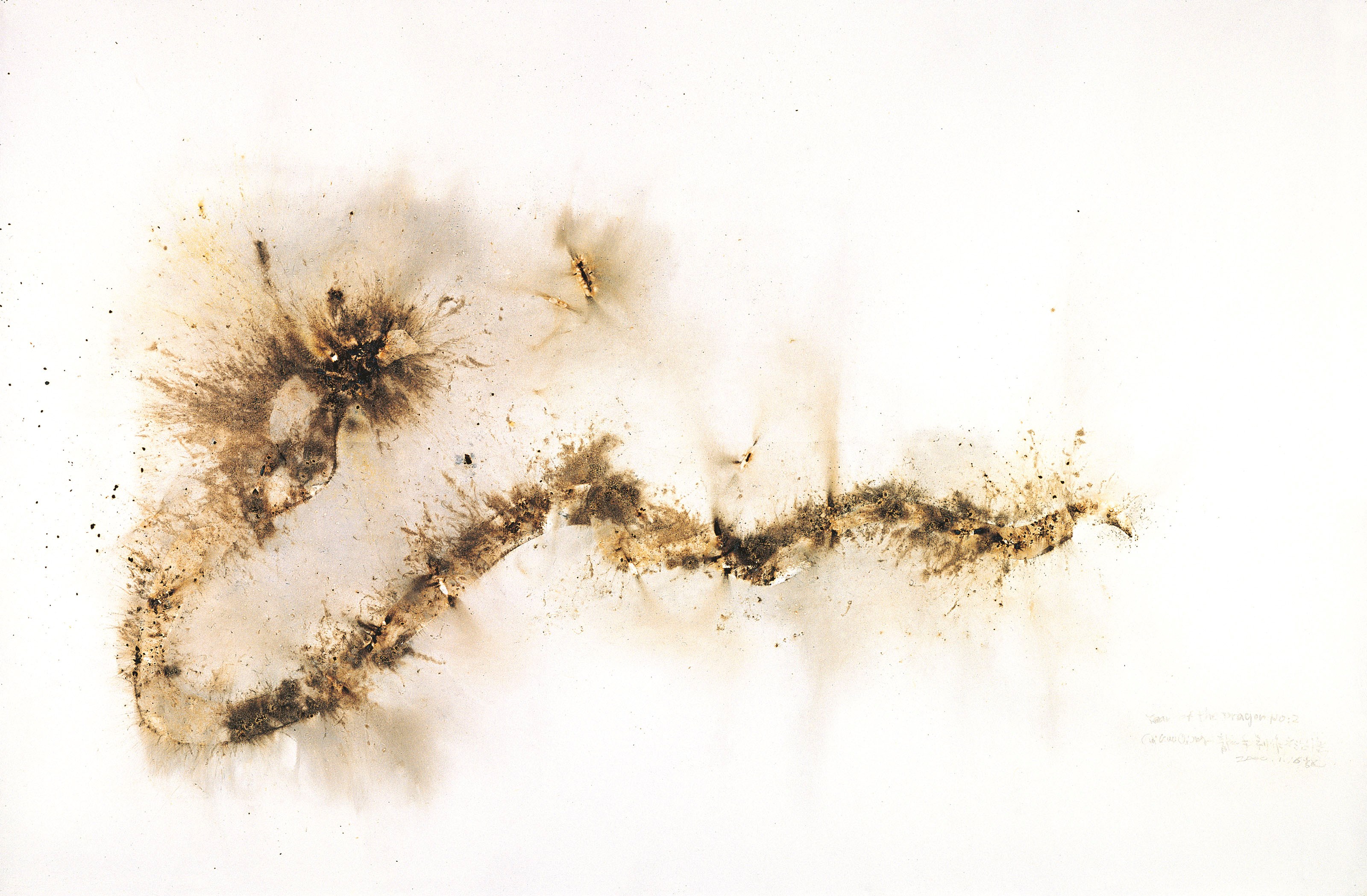 CAI GUO-QIANG