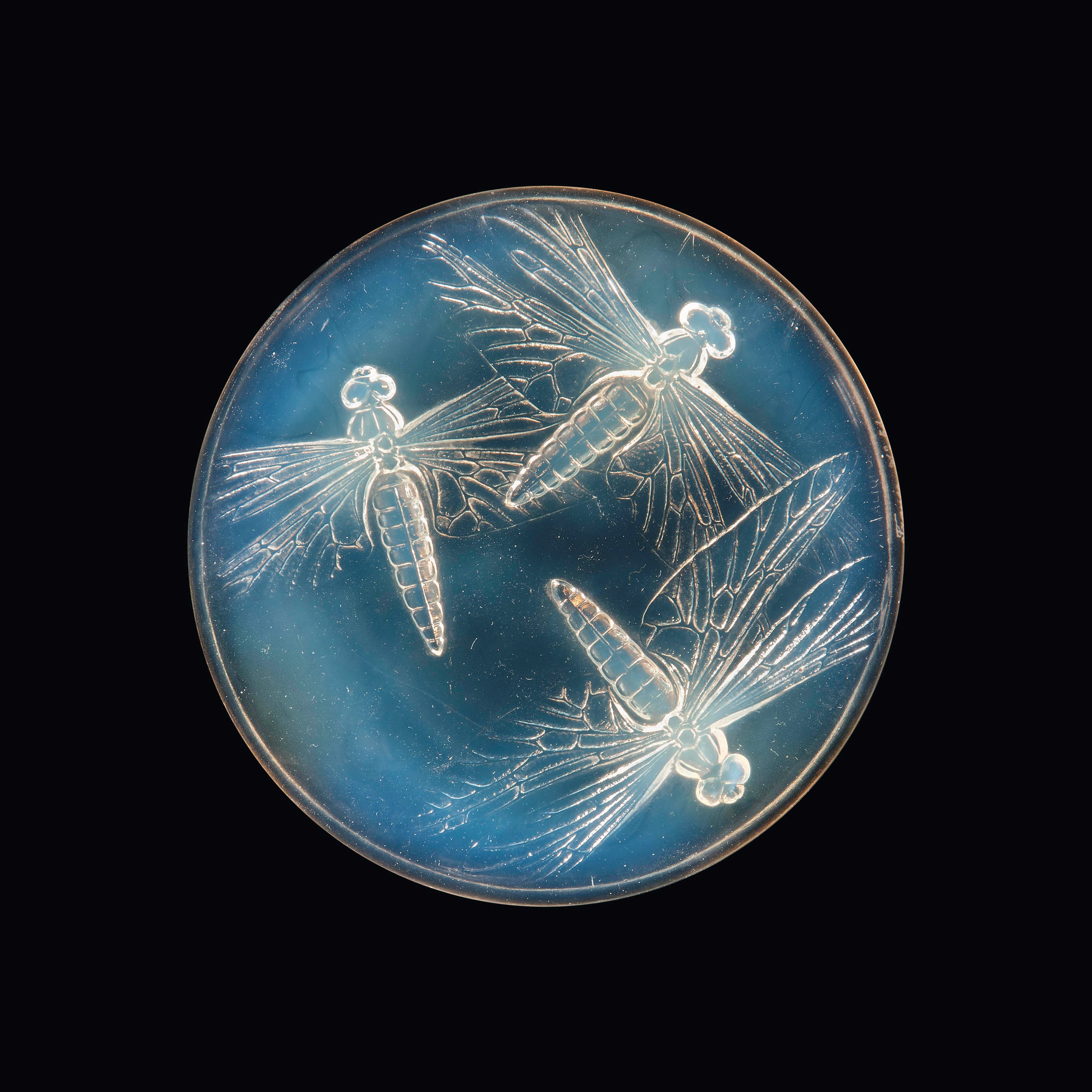 LIBELLULES BOX, NO. 51