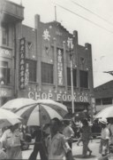 YANG SHANSHEN (1913-2004)