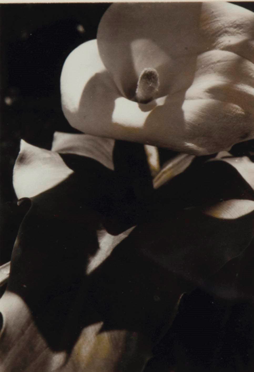 EDMUND TESKE (1911-1996)