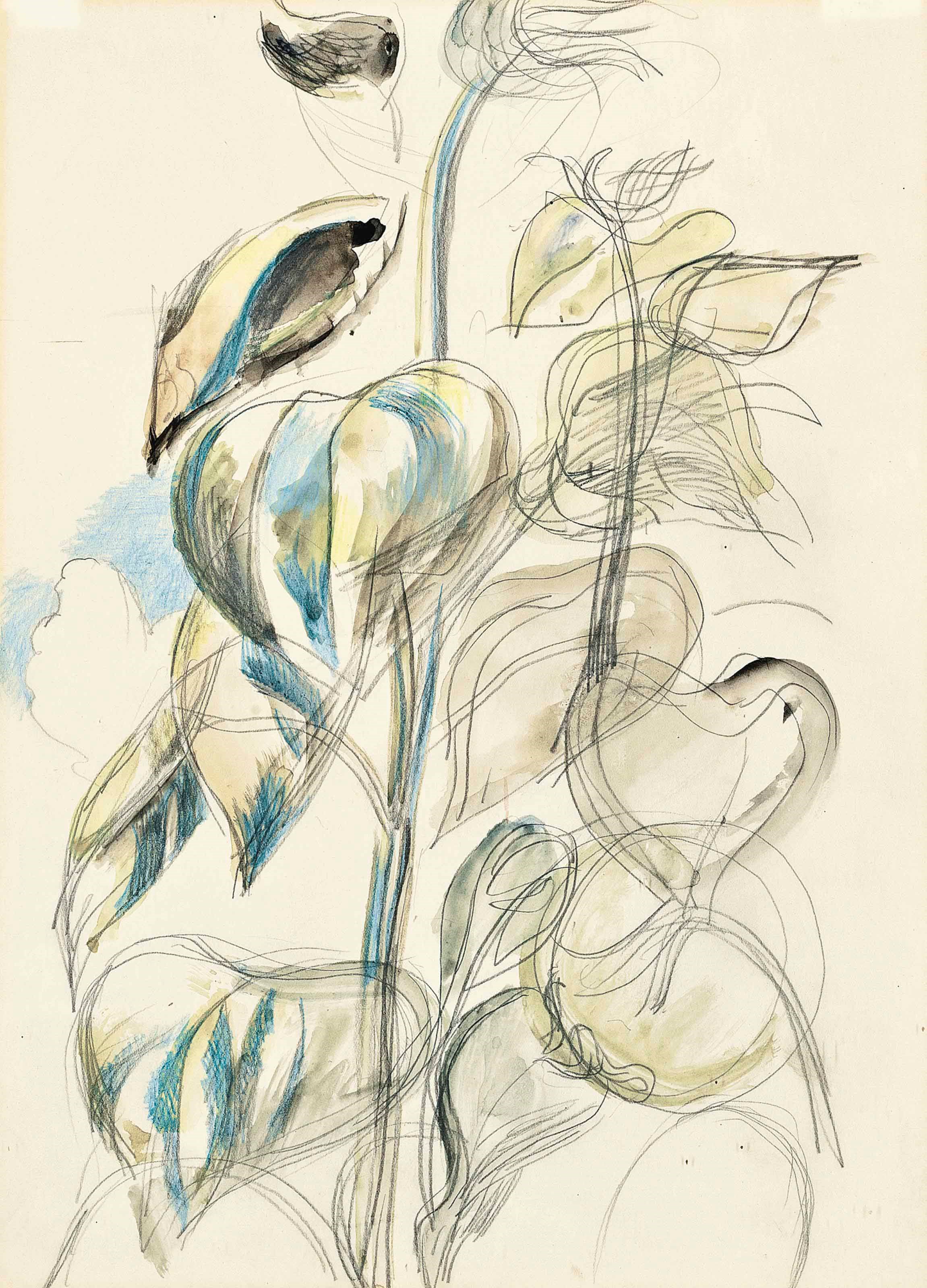 Paul Nash (1889-1946)