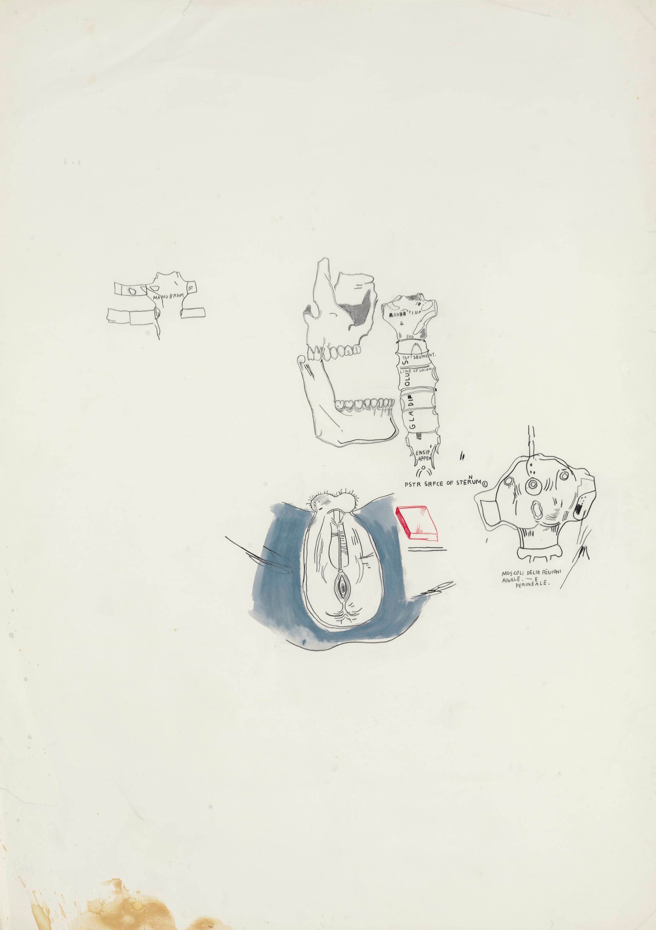 Jean-Michel Basquiat (1960-1988)