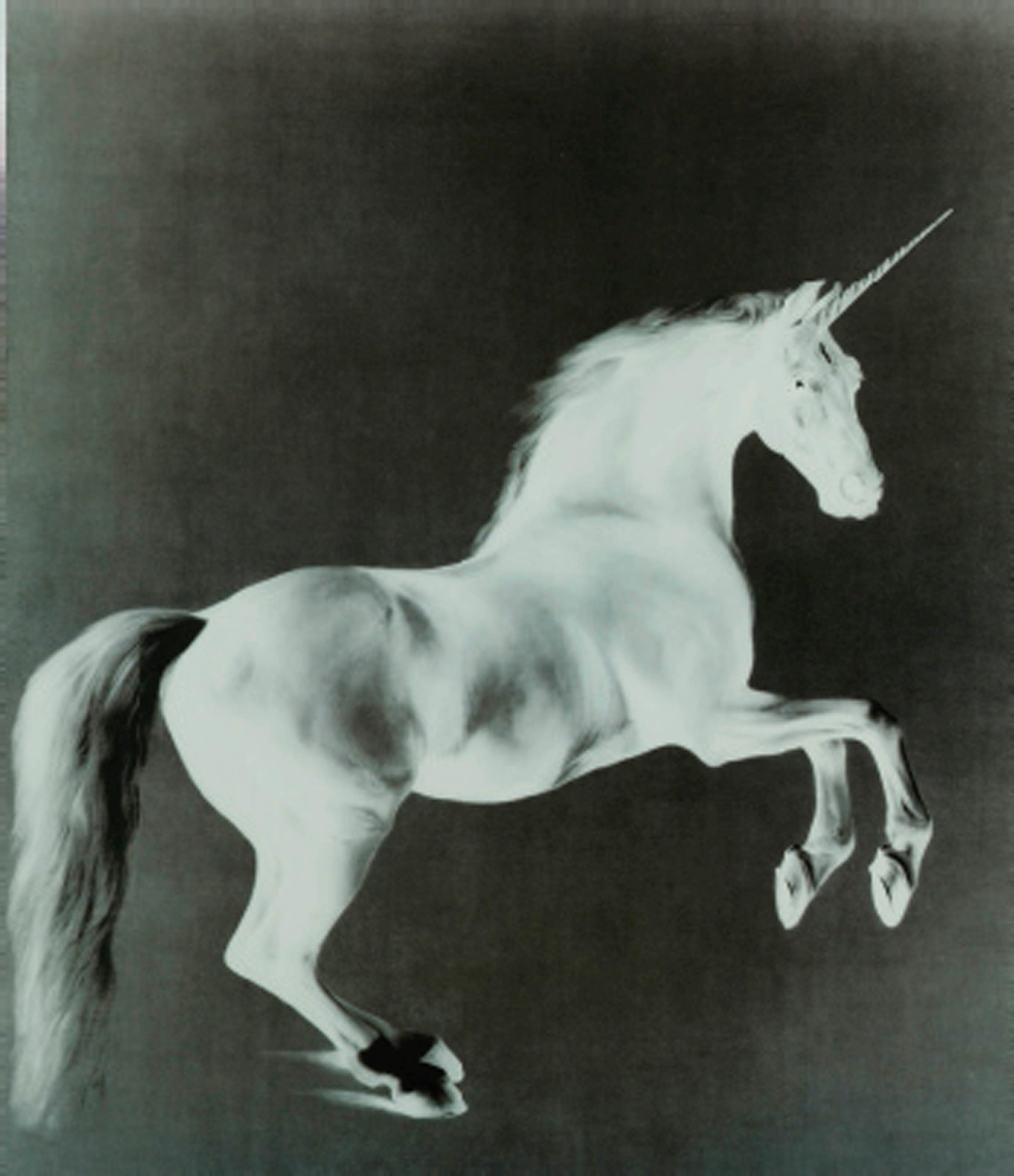 Mark Wallinger (B. 1959)