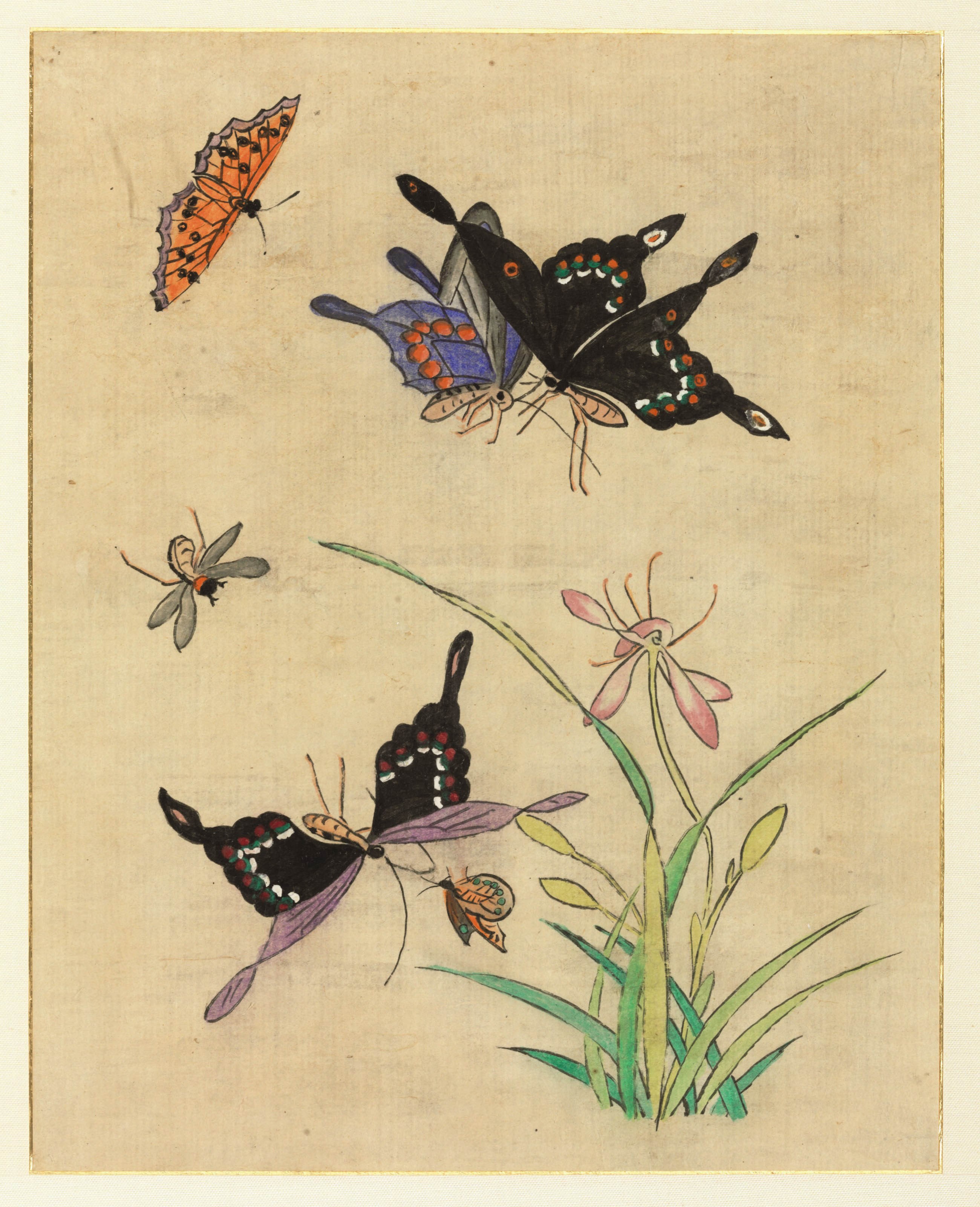 Anonymous (20th century)
