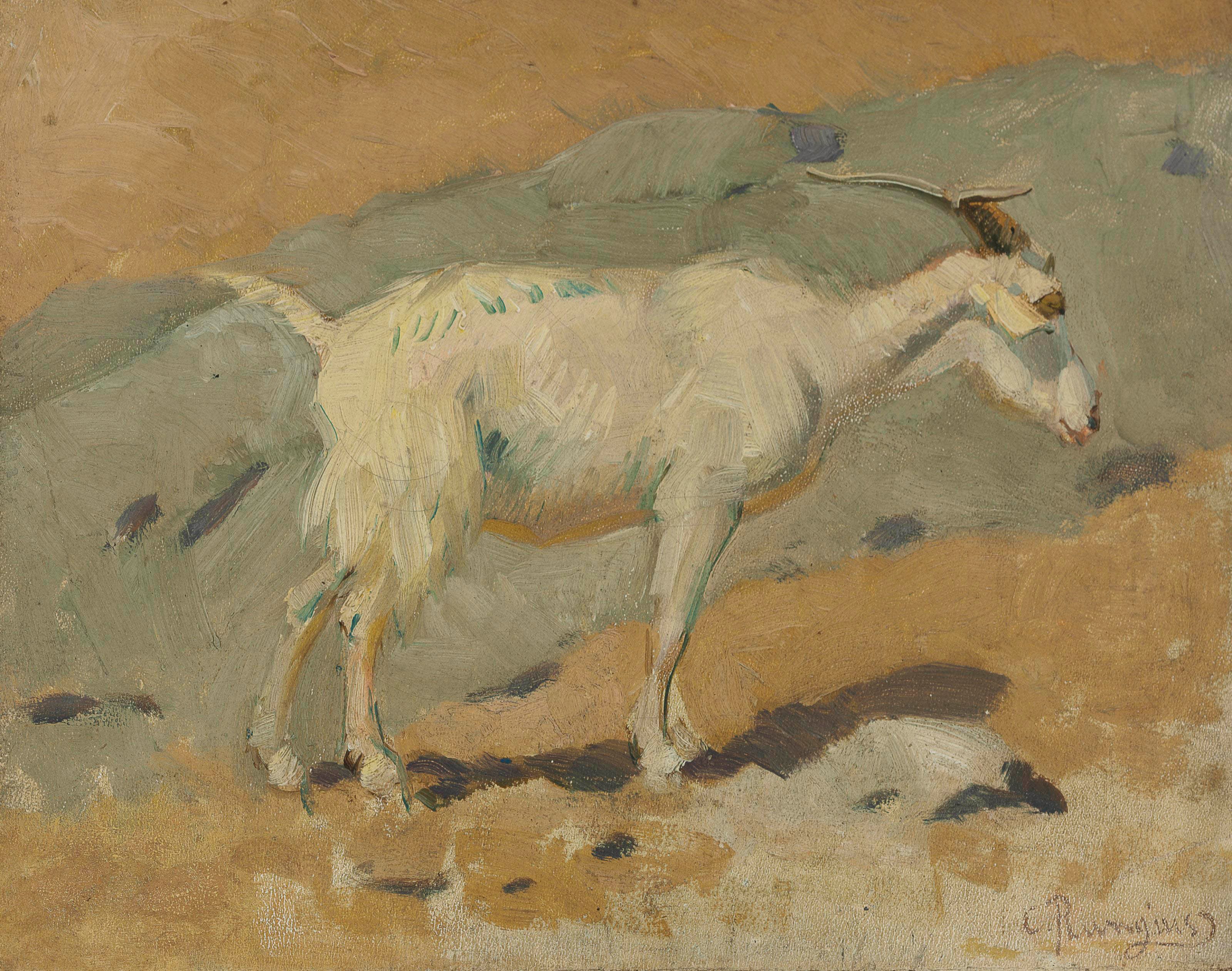 Carl Rungius (1869-1959)