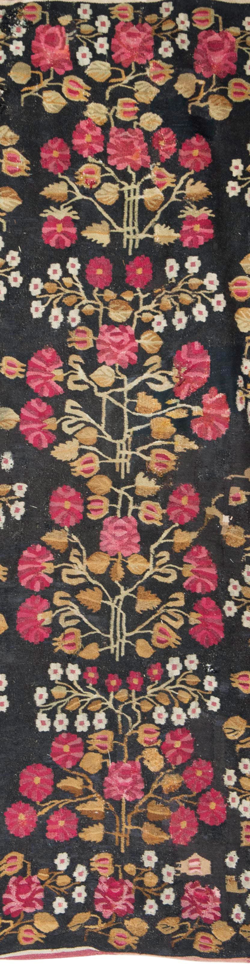 TAPIS