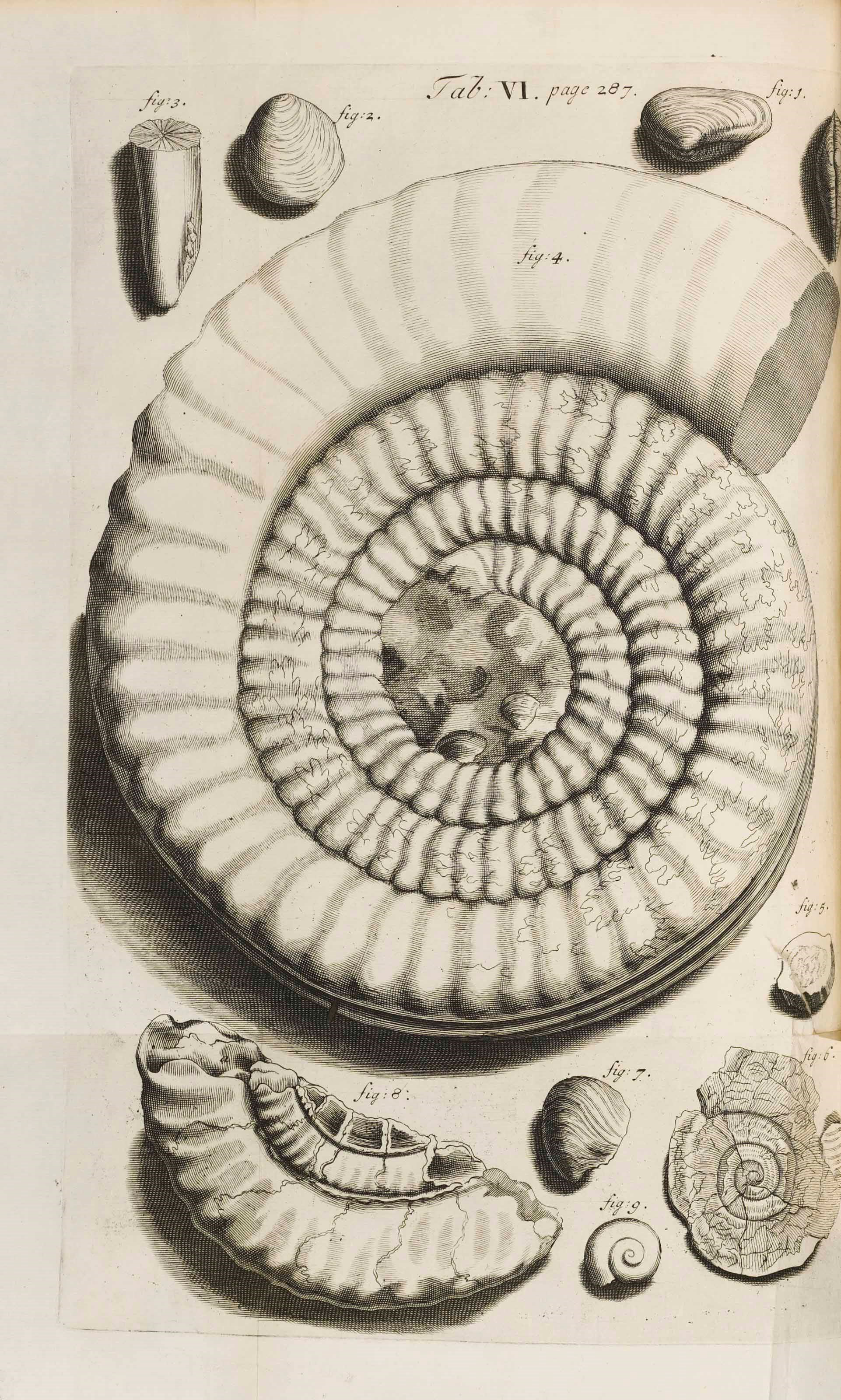 ROBERT HOOKE (1635-1702)