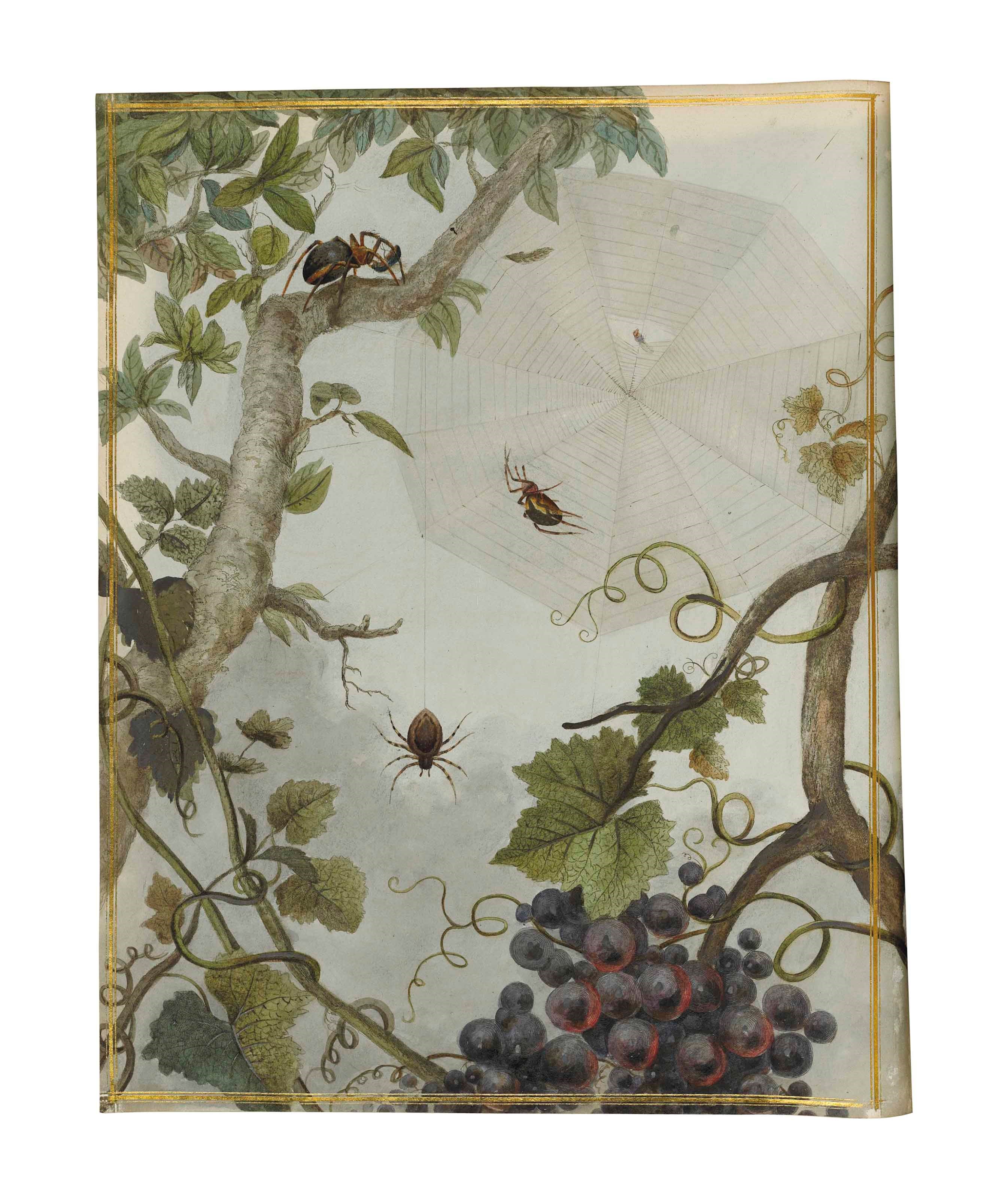 THOMAS MARTYN (FL. 1760-1816, EDITOR)