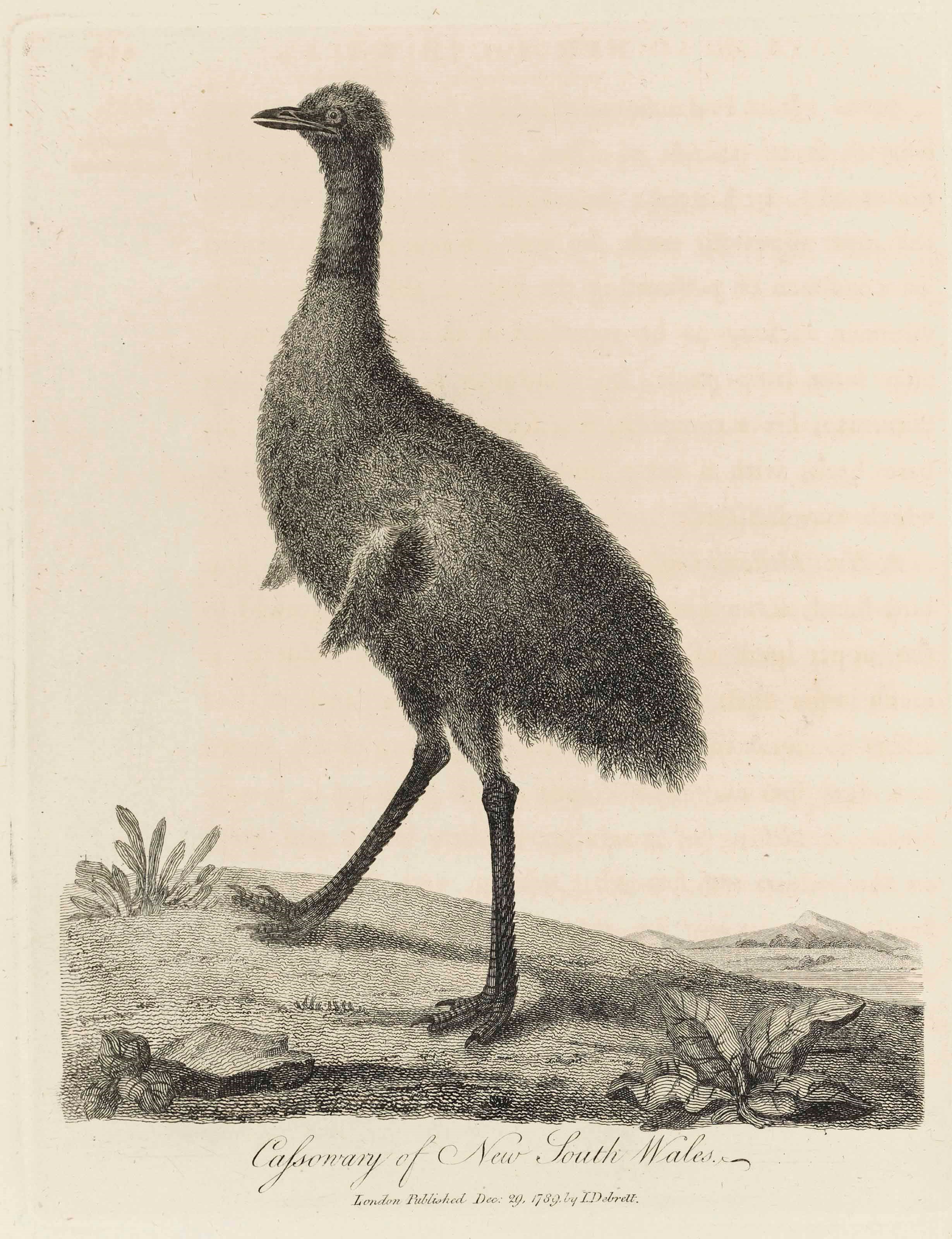 JOHN WHITE (C. 1756-1832)