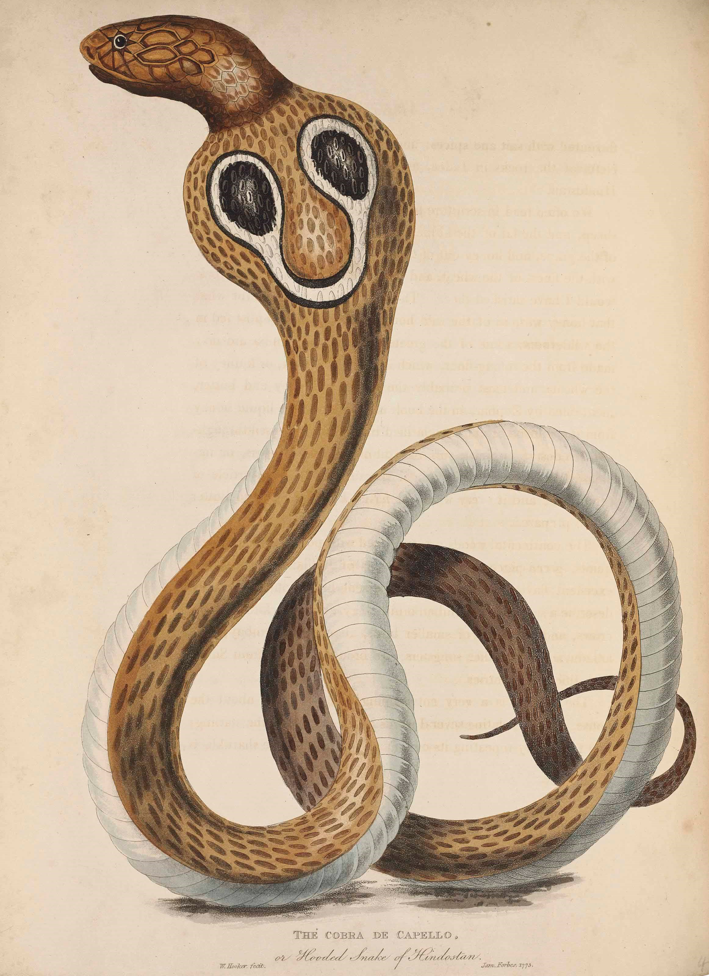 JAMES FORBES (1749-1819)