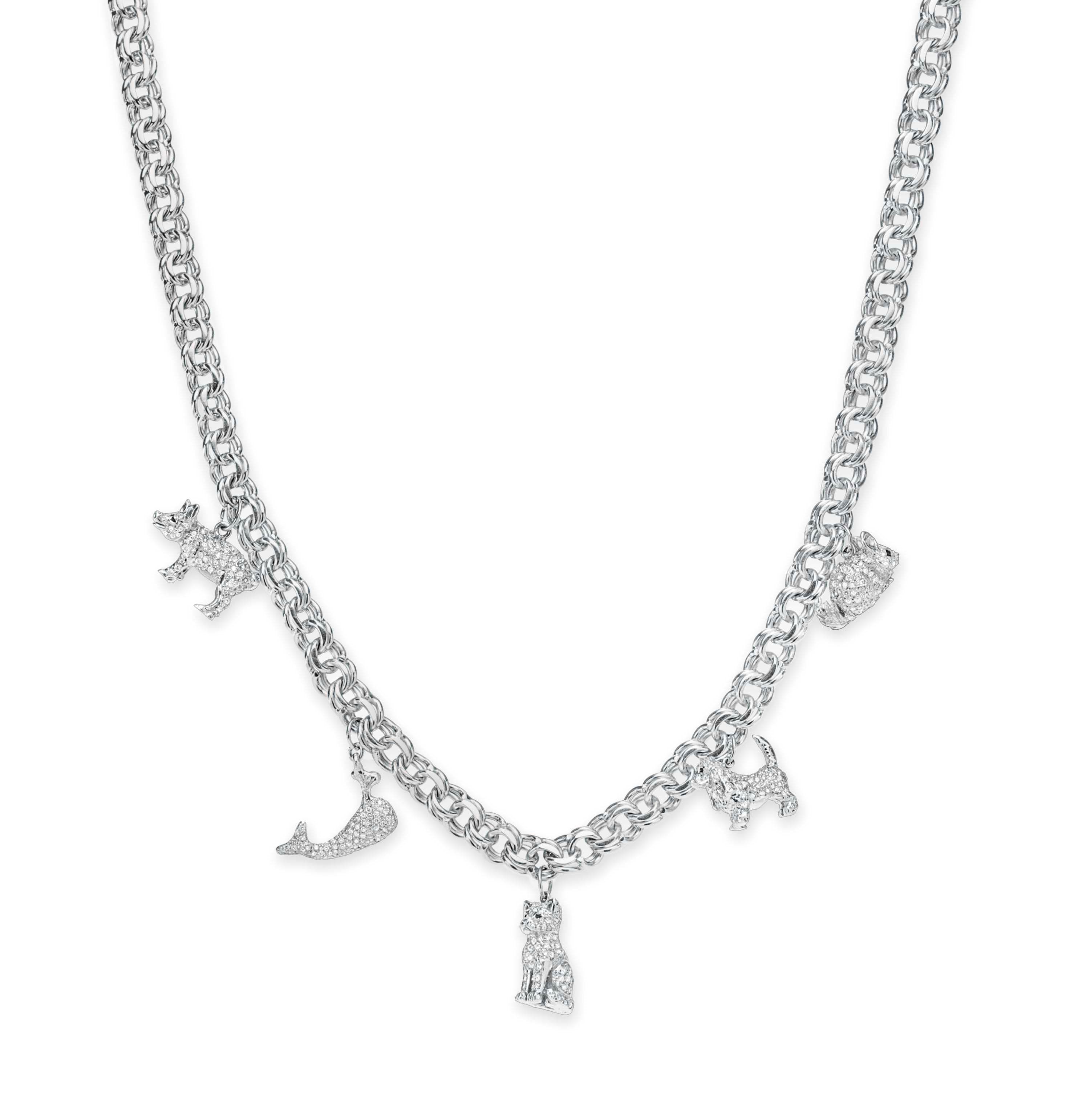 A DIAMOND CHARM NECKLACE