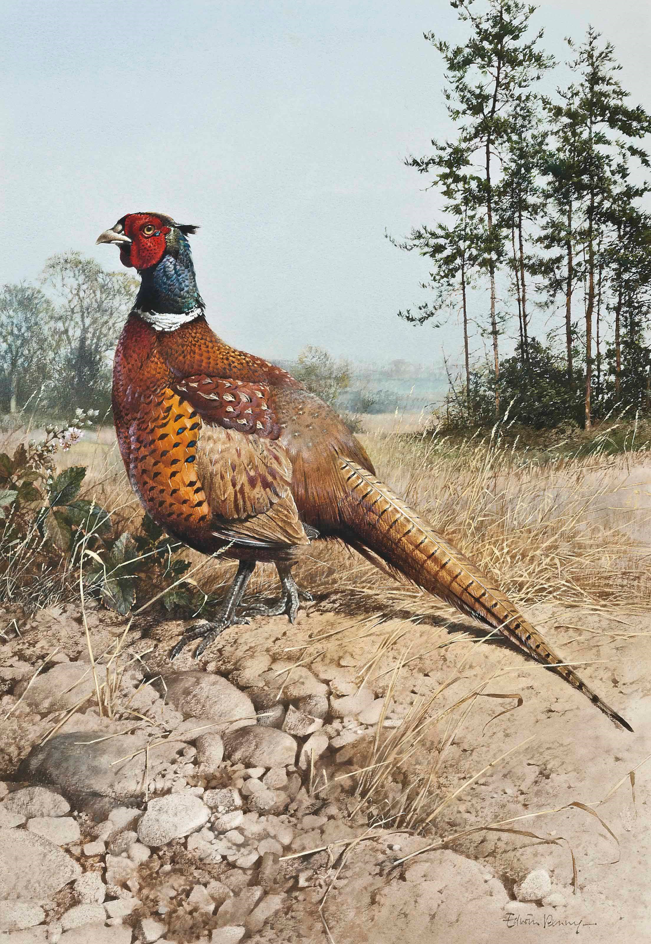 Edwin Penny (b.1930)
