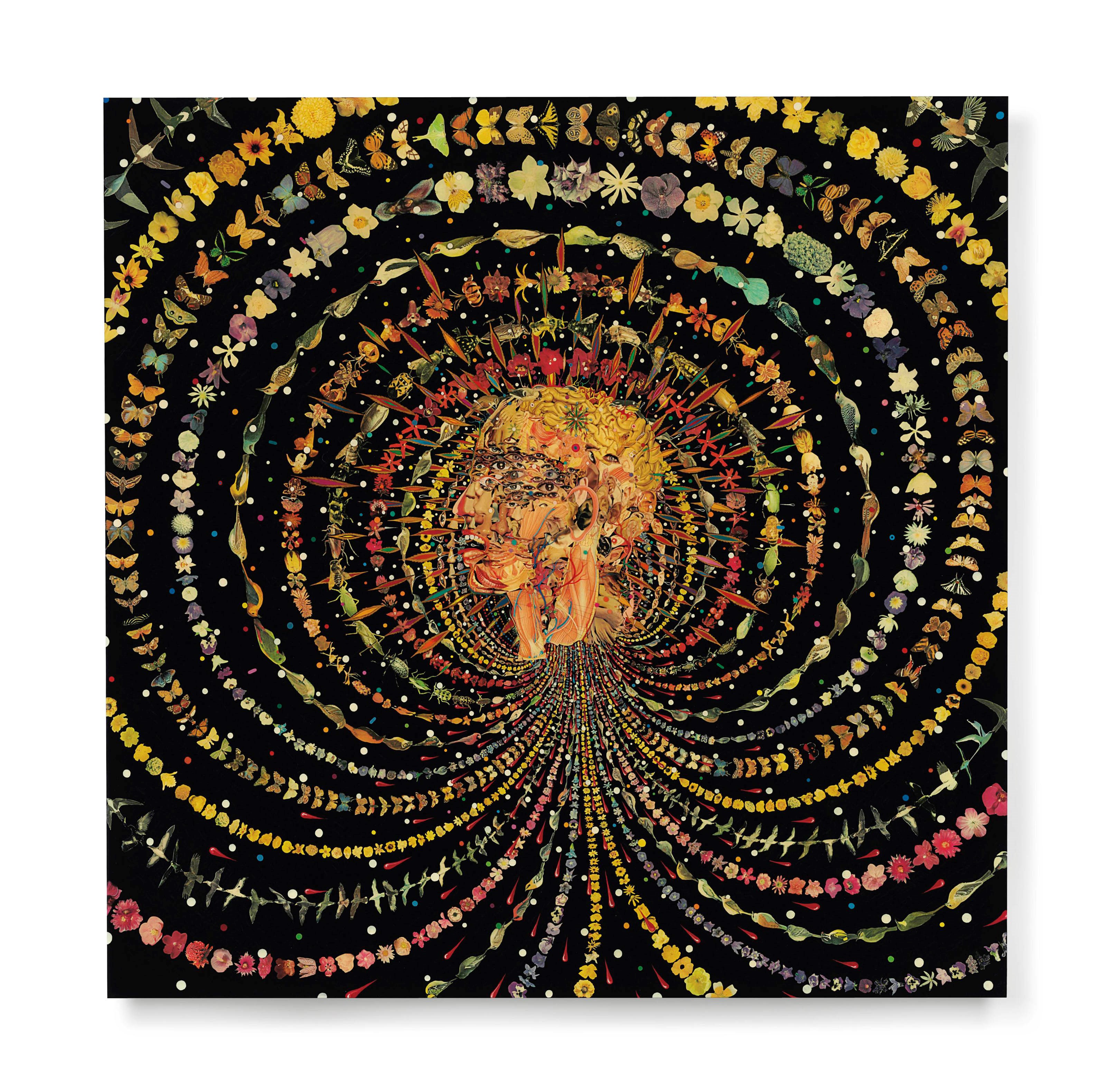 Fred Tomaselli (b. 1956)