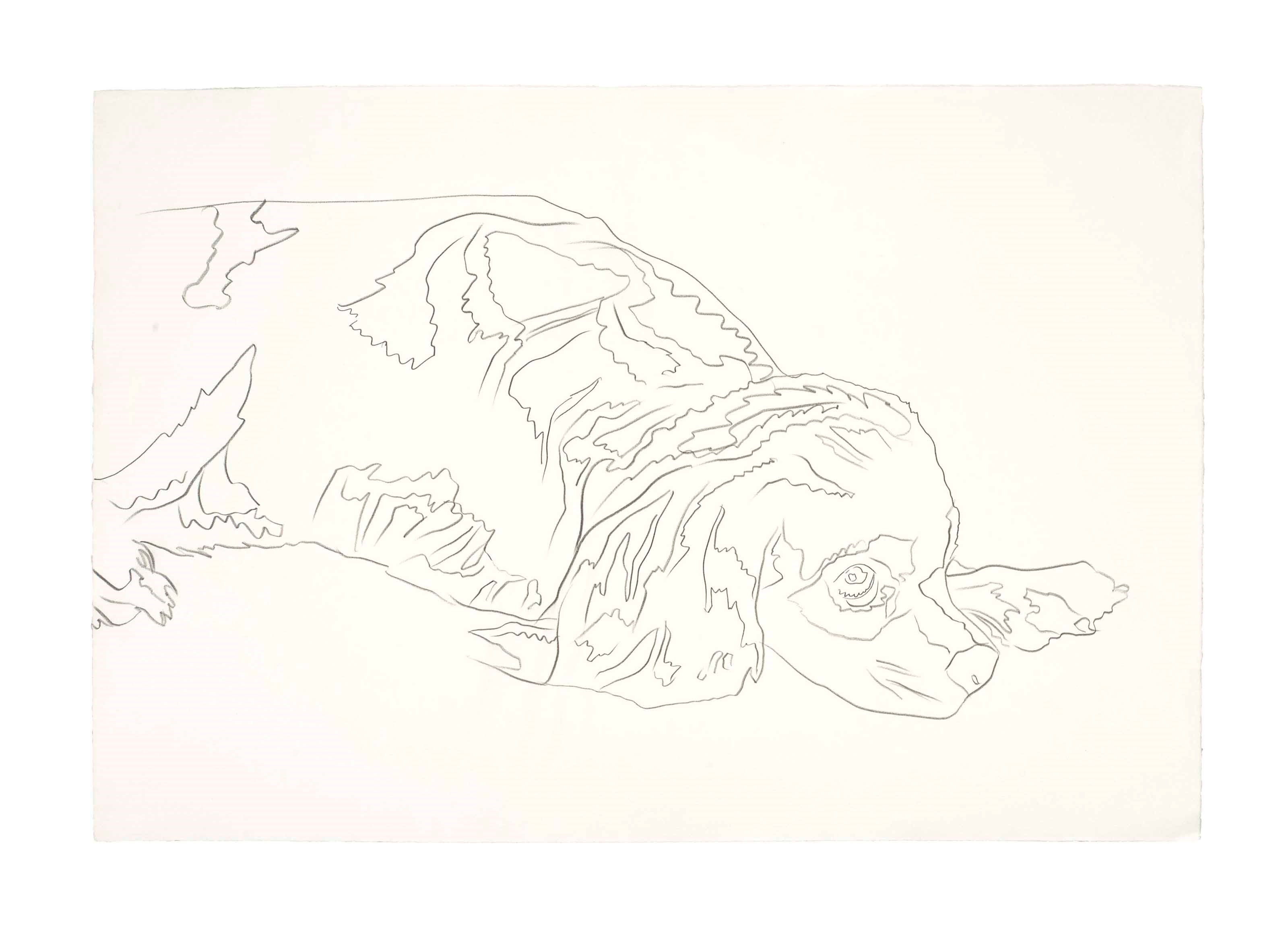 Andy Warhol (1928-1987)