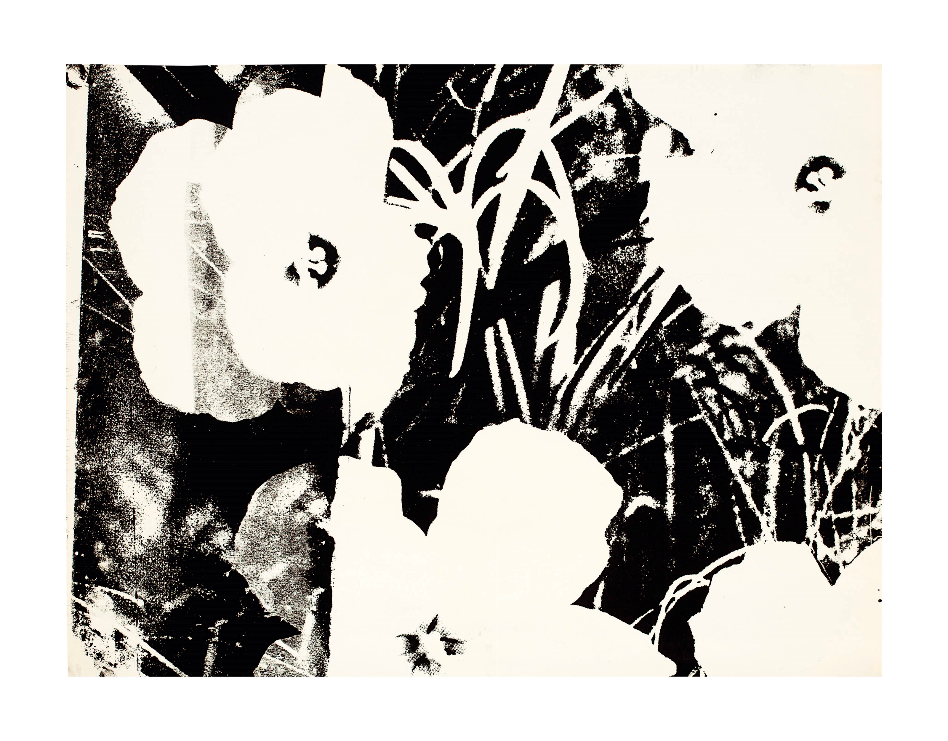 ANDY WARHOL