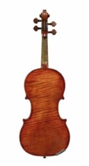 A VIOLIN