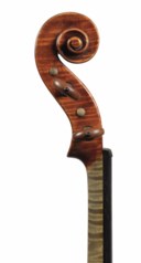 A VIOLIN