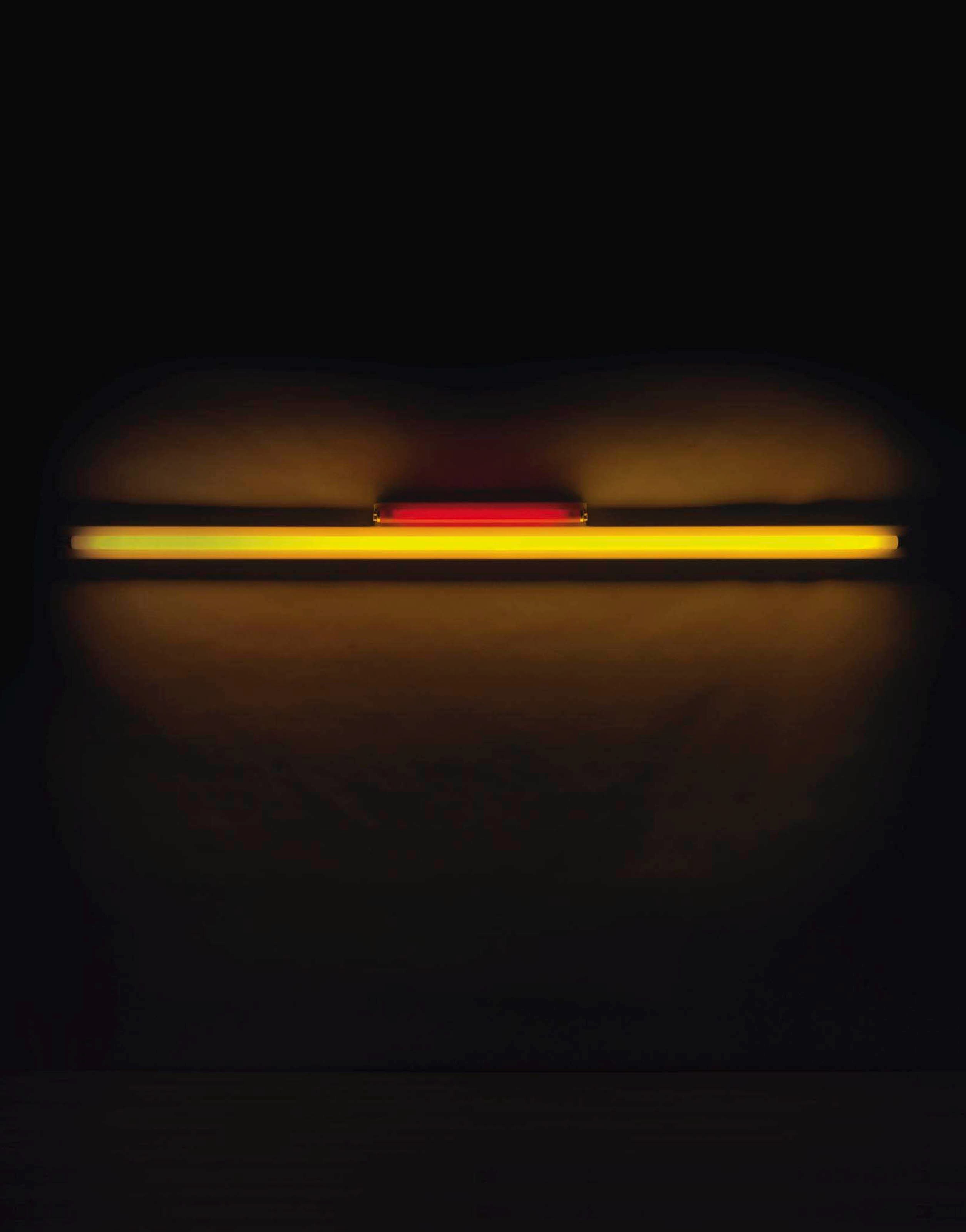 Dan Flavin (1933-1996)