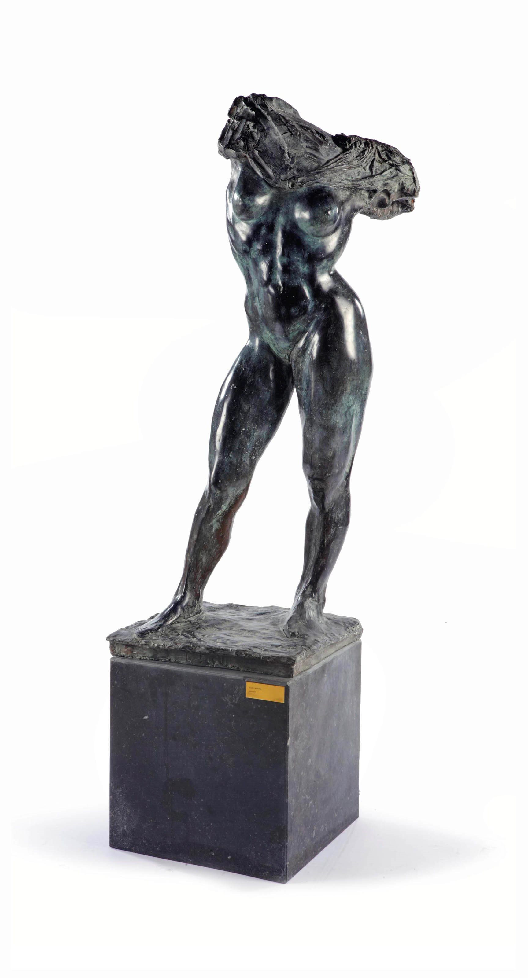 Ruudt Wackers (b. 1941)