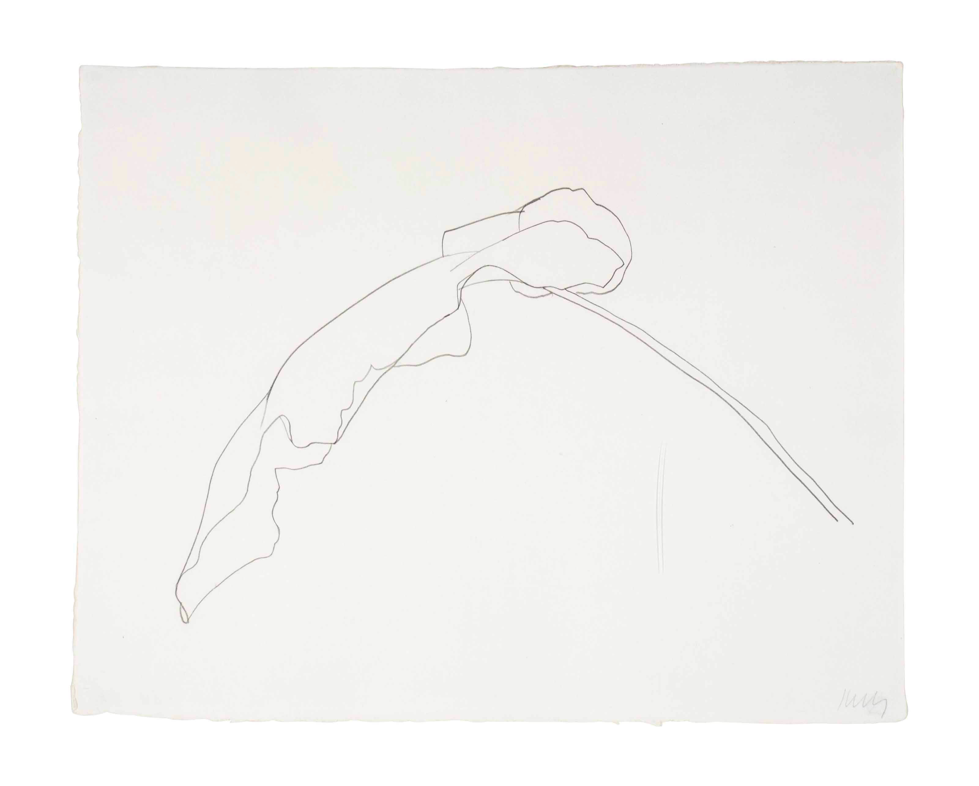 Ellsworth Kelly (b. 1923)