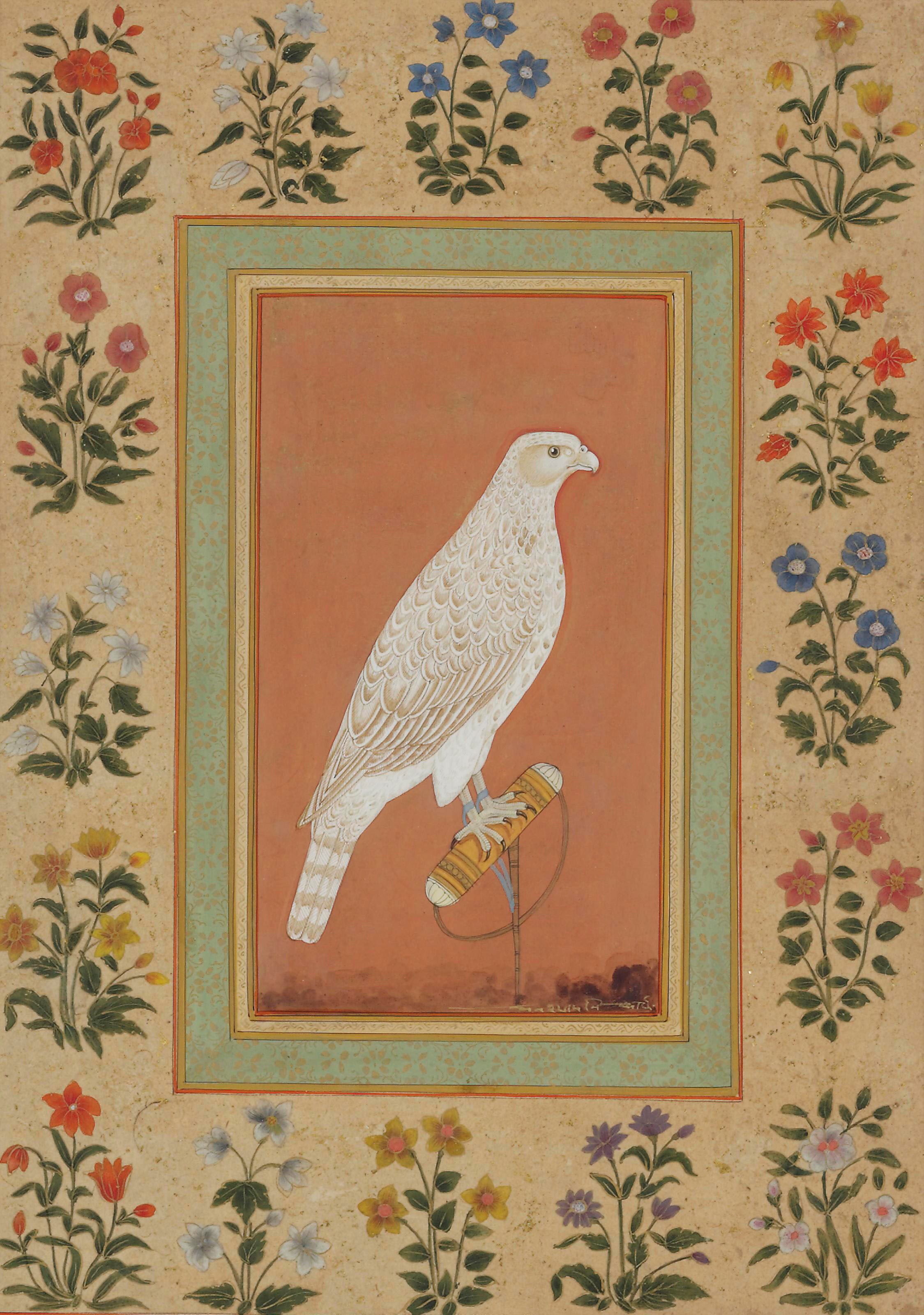 A WHITE GOSHAWK