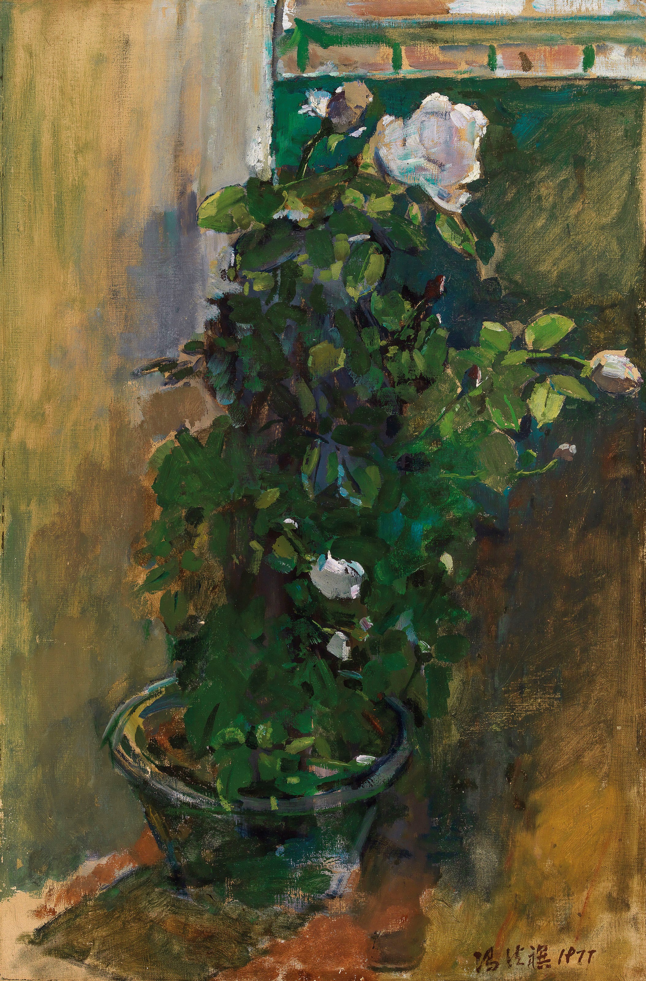 FENG FASI