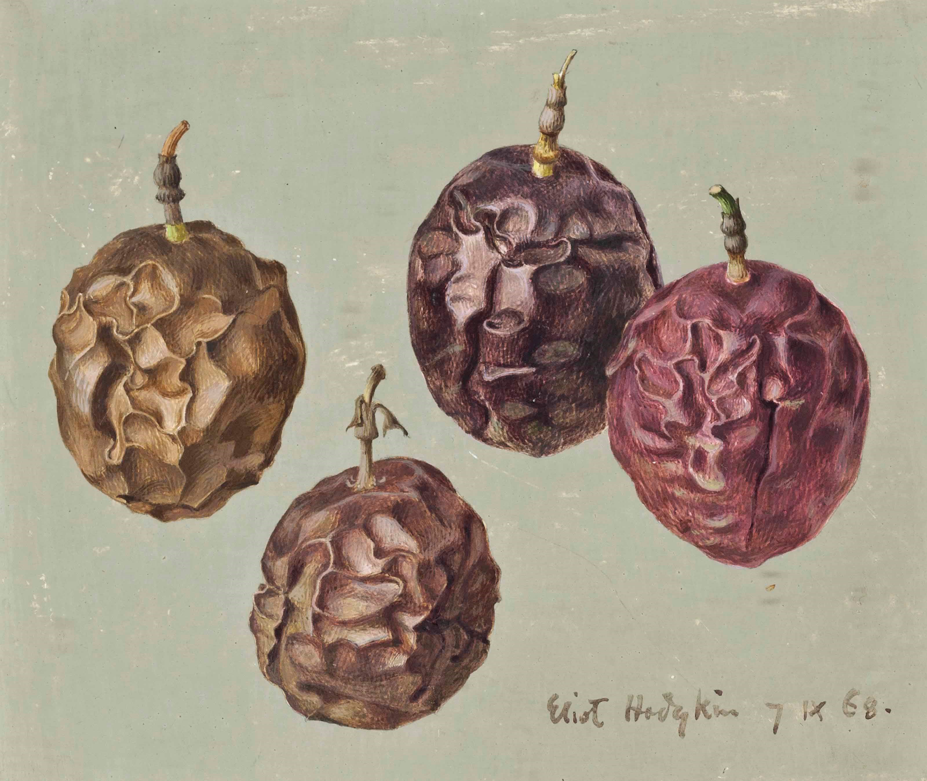 Eliot Hodgkin (1905-1987)