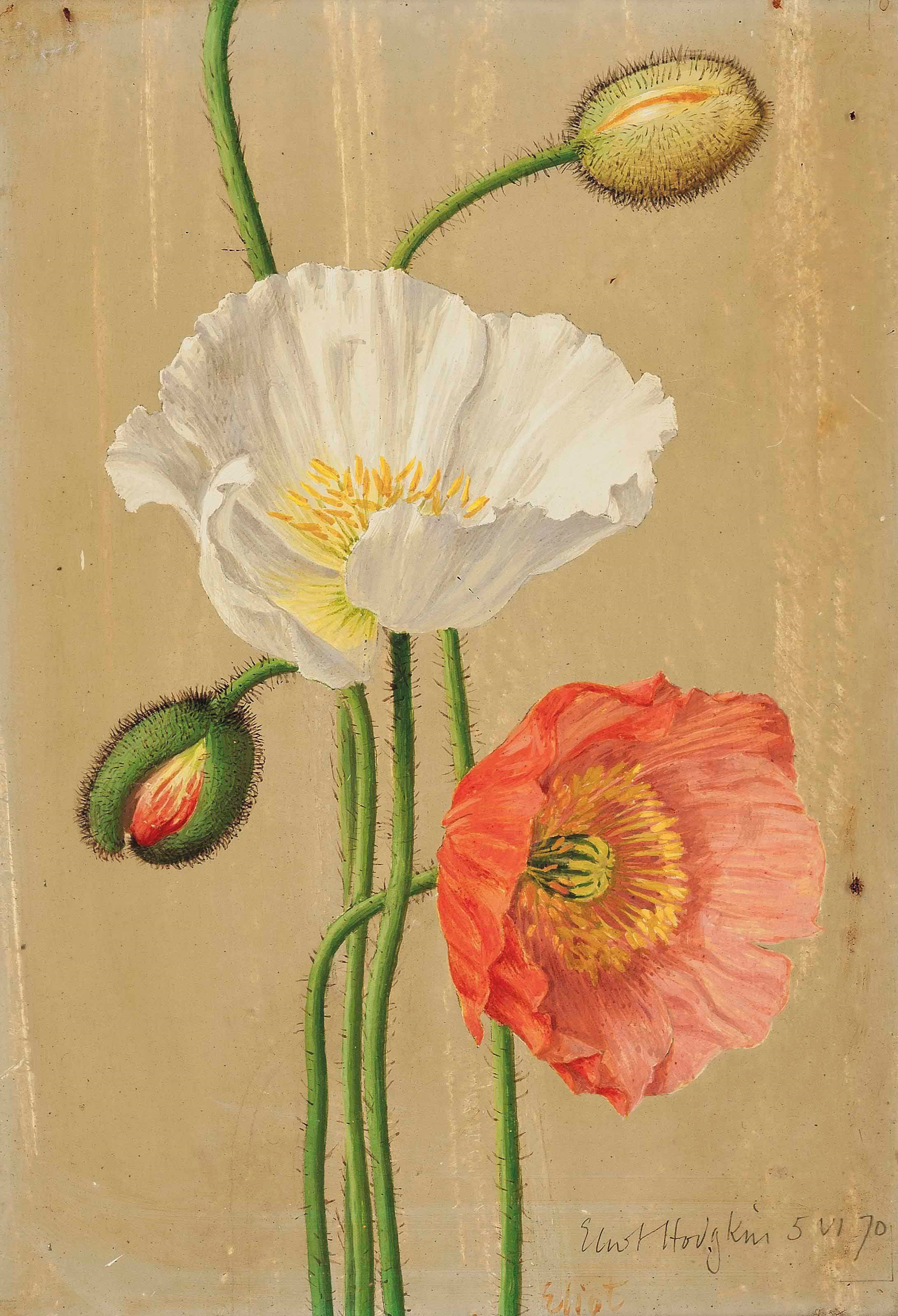 Eliot Hodgkin (1905-1987)