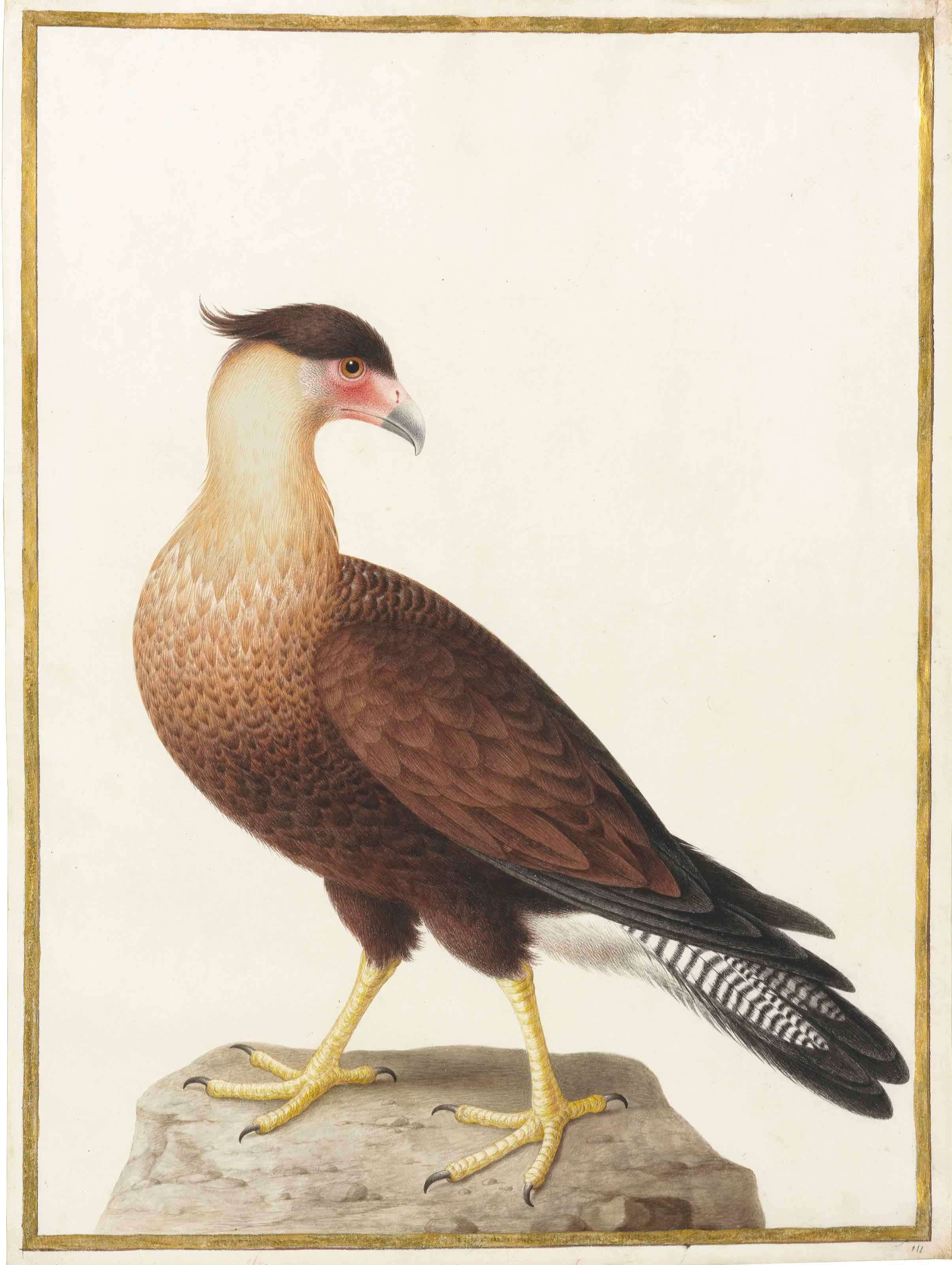 Nicolas Robert (Langres 1614-1685 Paris)