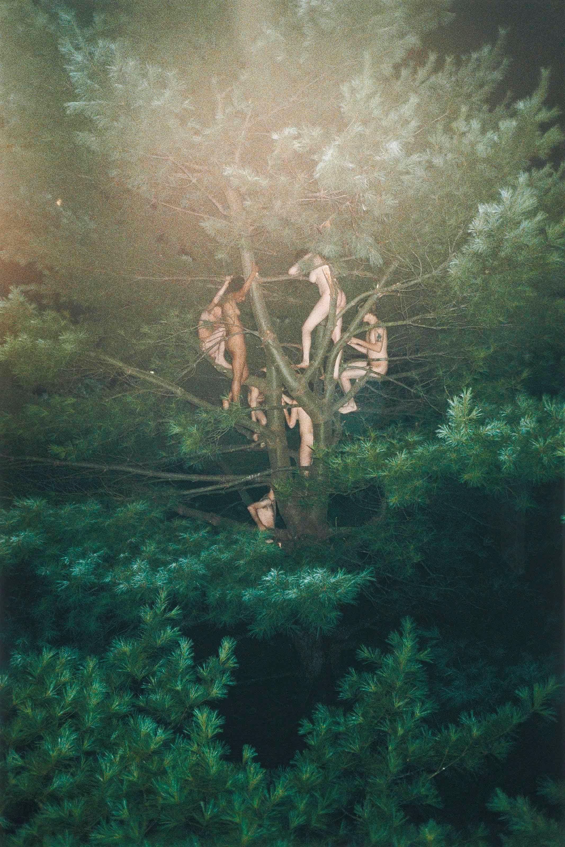 Ryan McGinley (b. 1977)