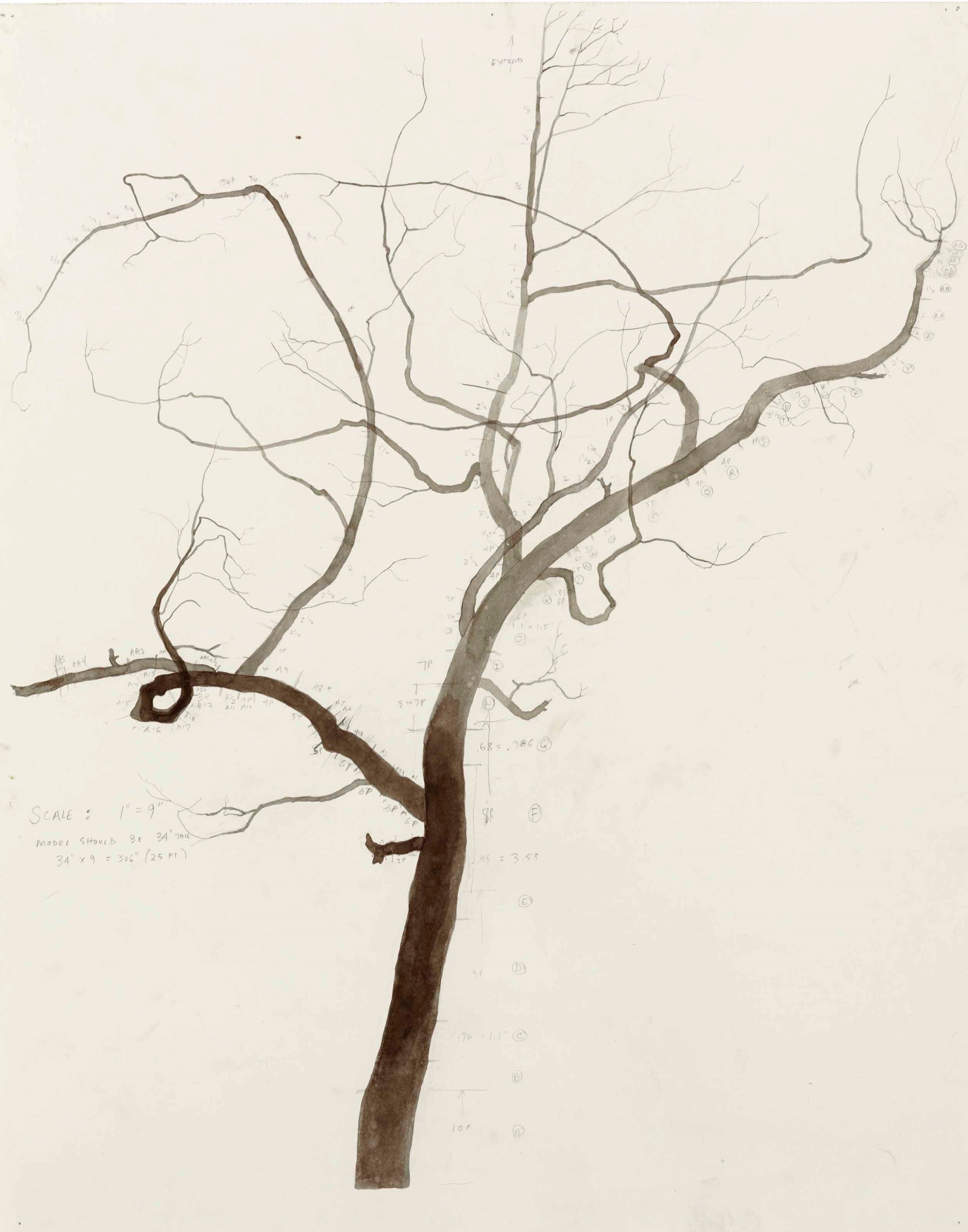 Roxy Paine (B. 1966)