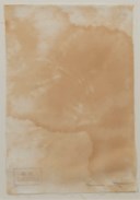 Hermann Nitsch (b. 1938)