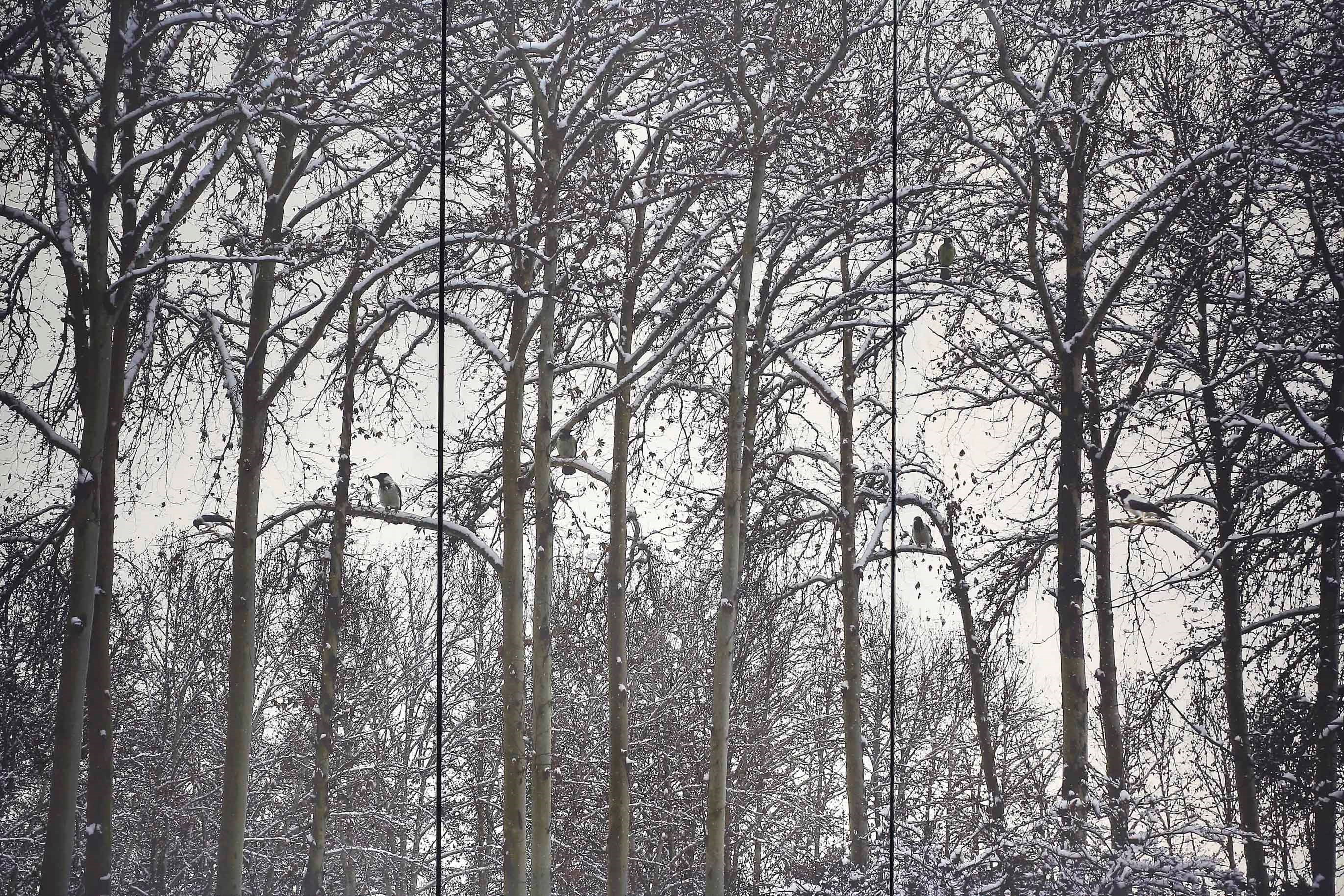 Abbas Kiarostami (Iranian, b. 1940)