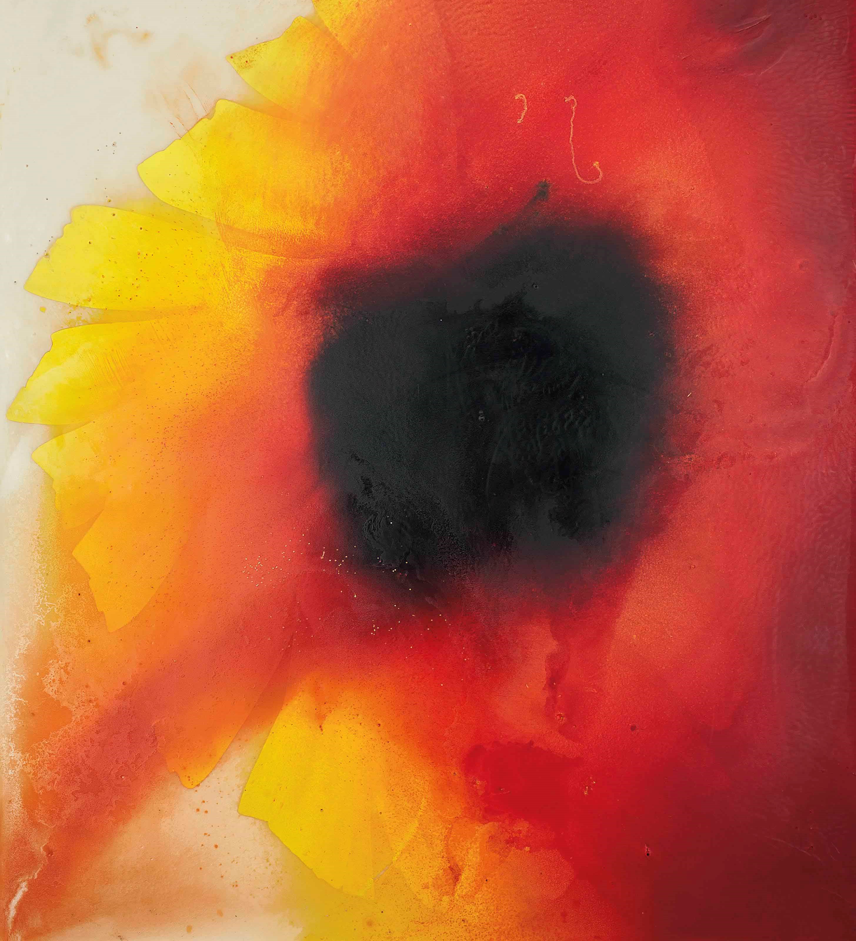 José Maria Sicilia (b. 1954)