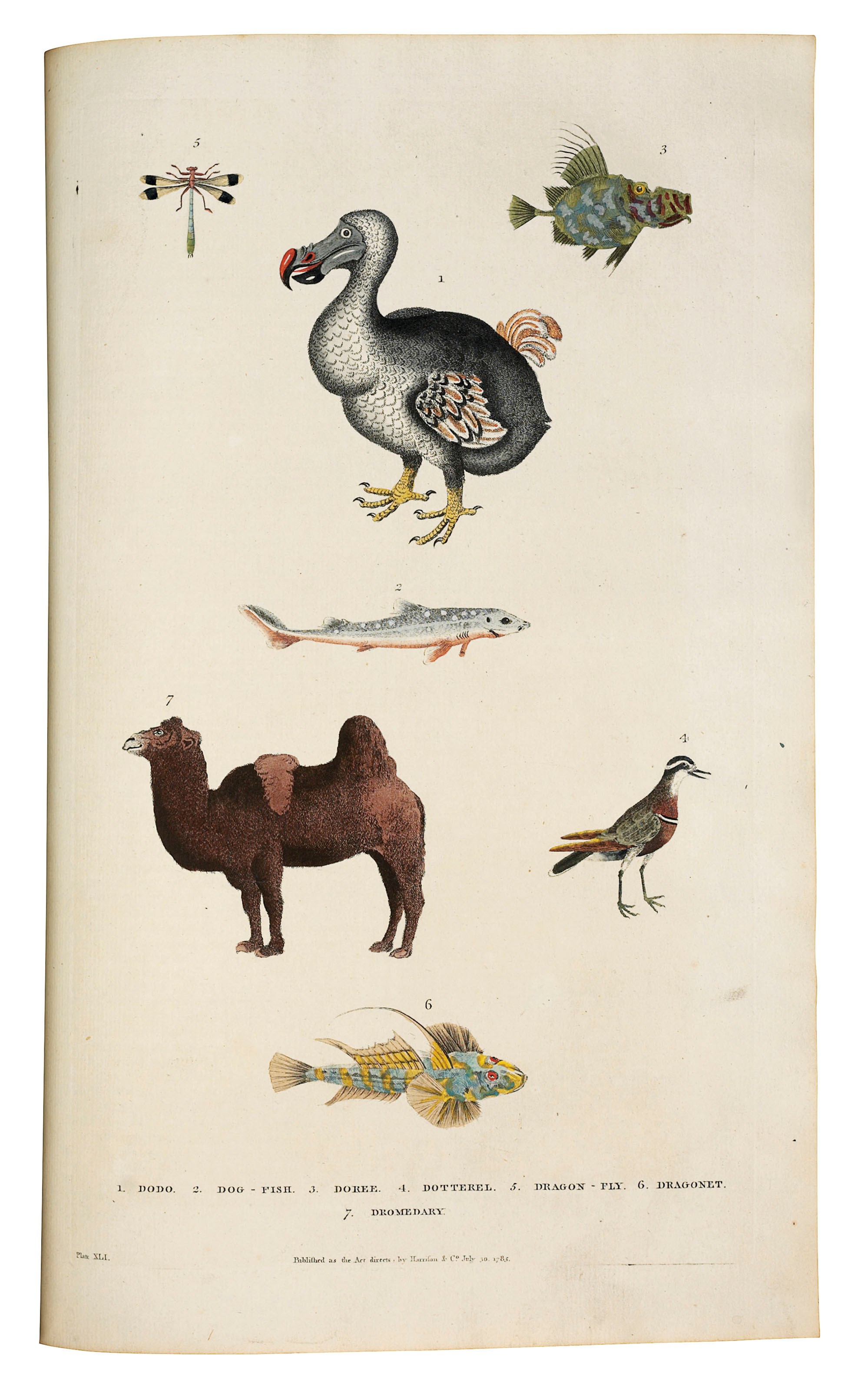 WILLIAM FREDERIC MARTYN (1758-1837)