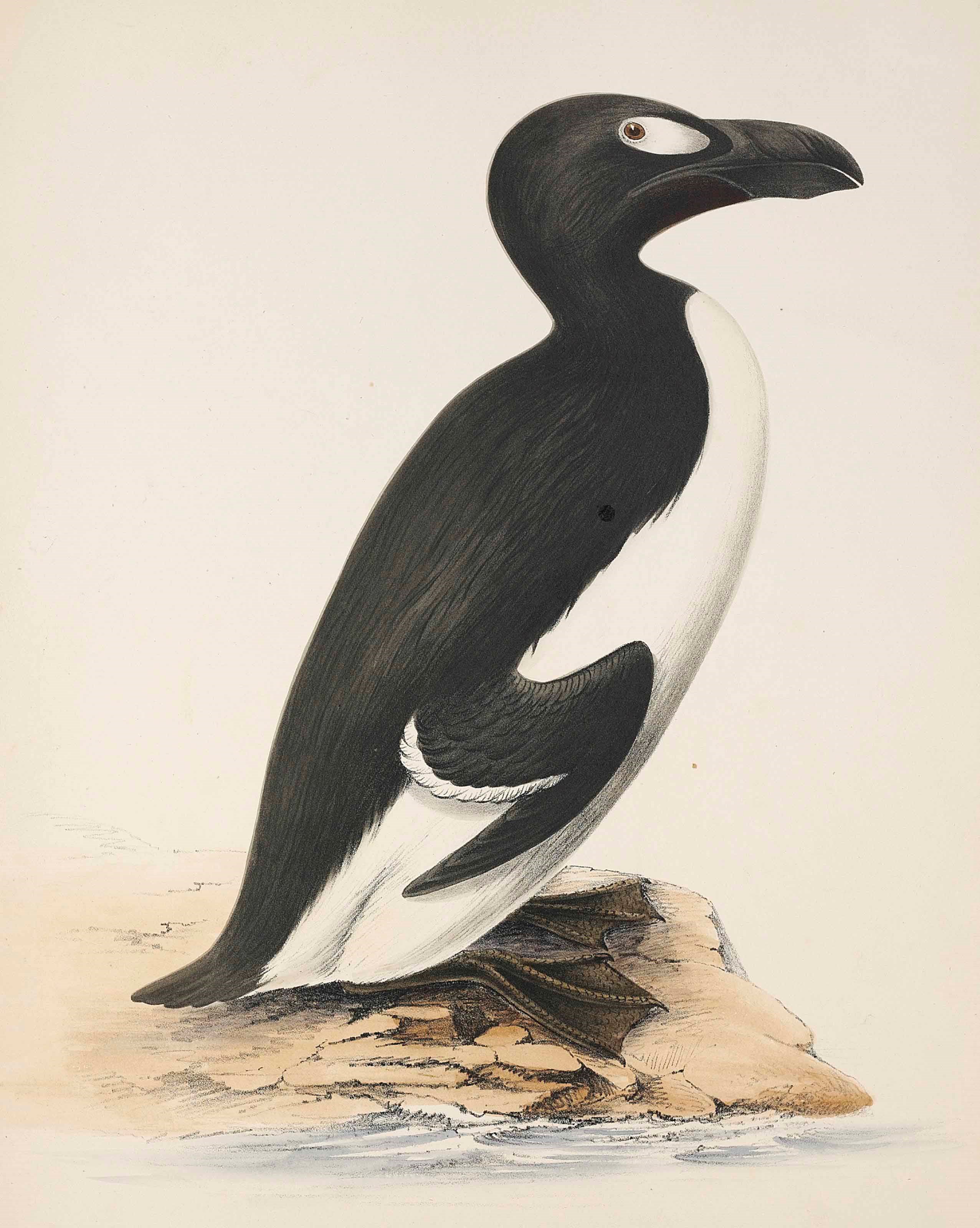 HENRY LEONARD MEYER (d.1864)