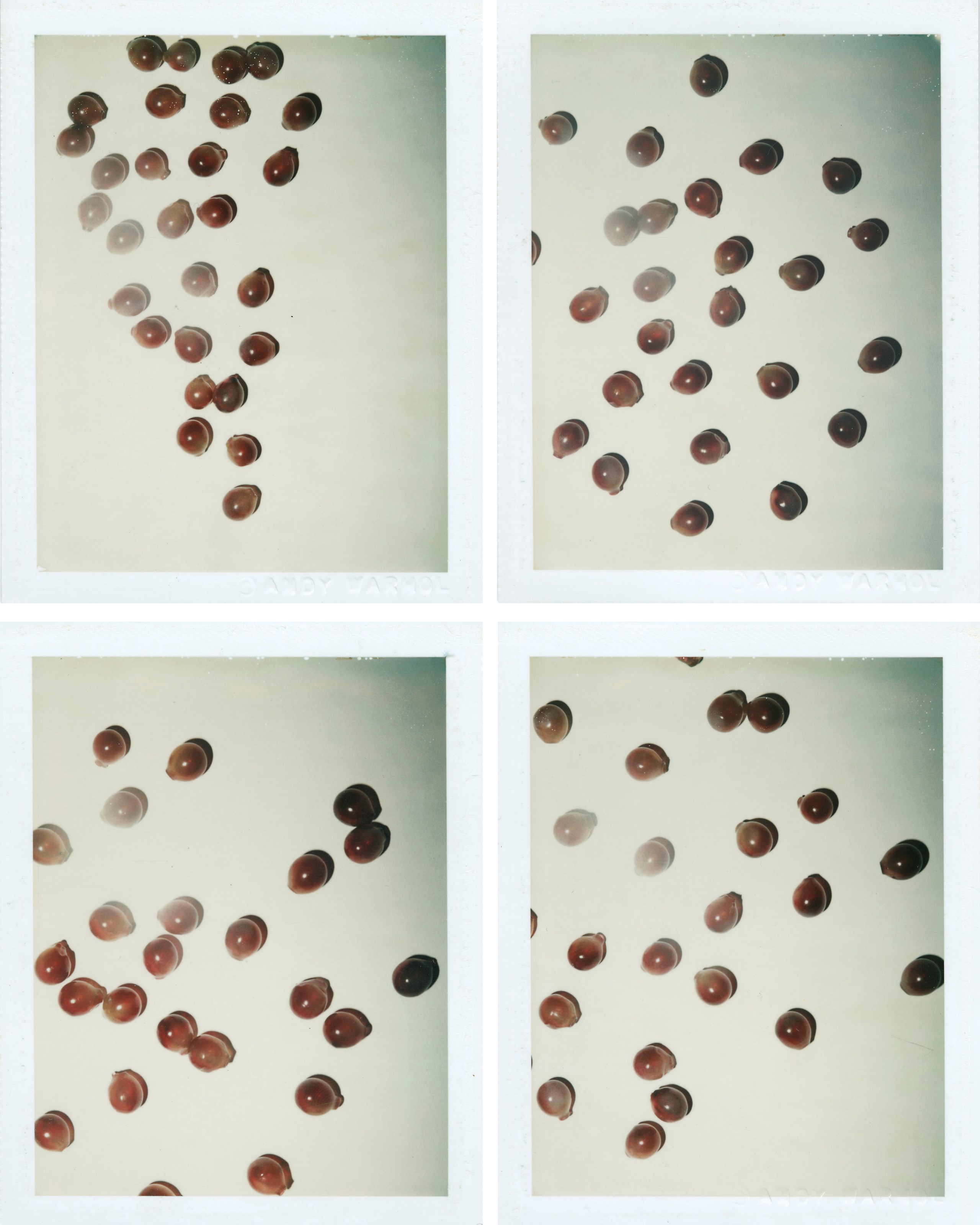 ANDY WARHOL (1928-1987)